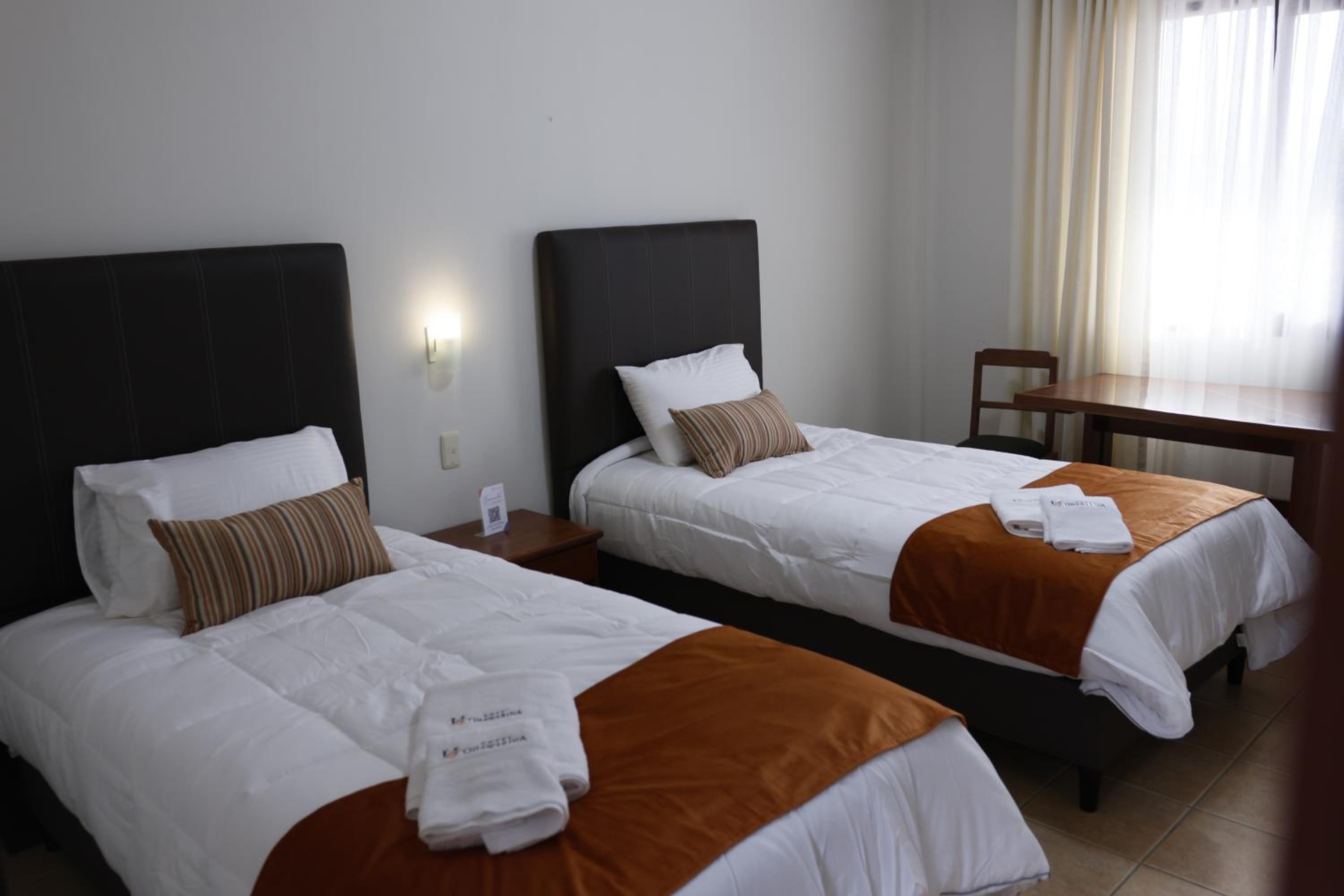 Twin Room photo 3