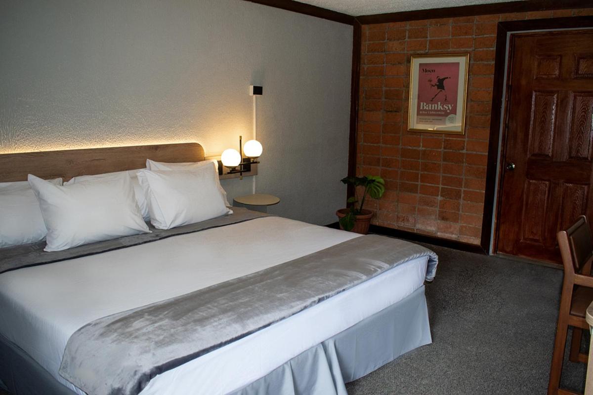 Double or Twin Room - Disability Access photo 1