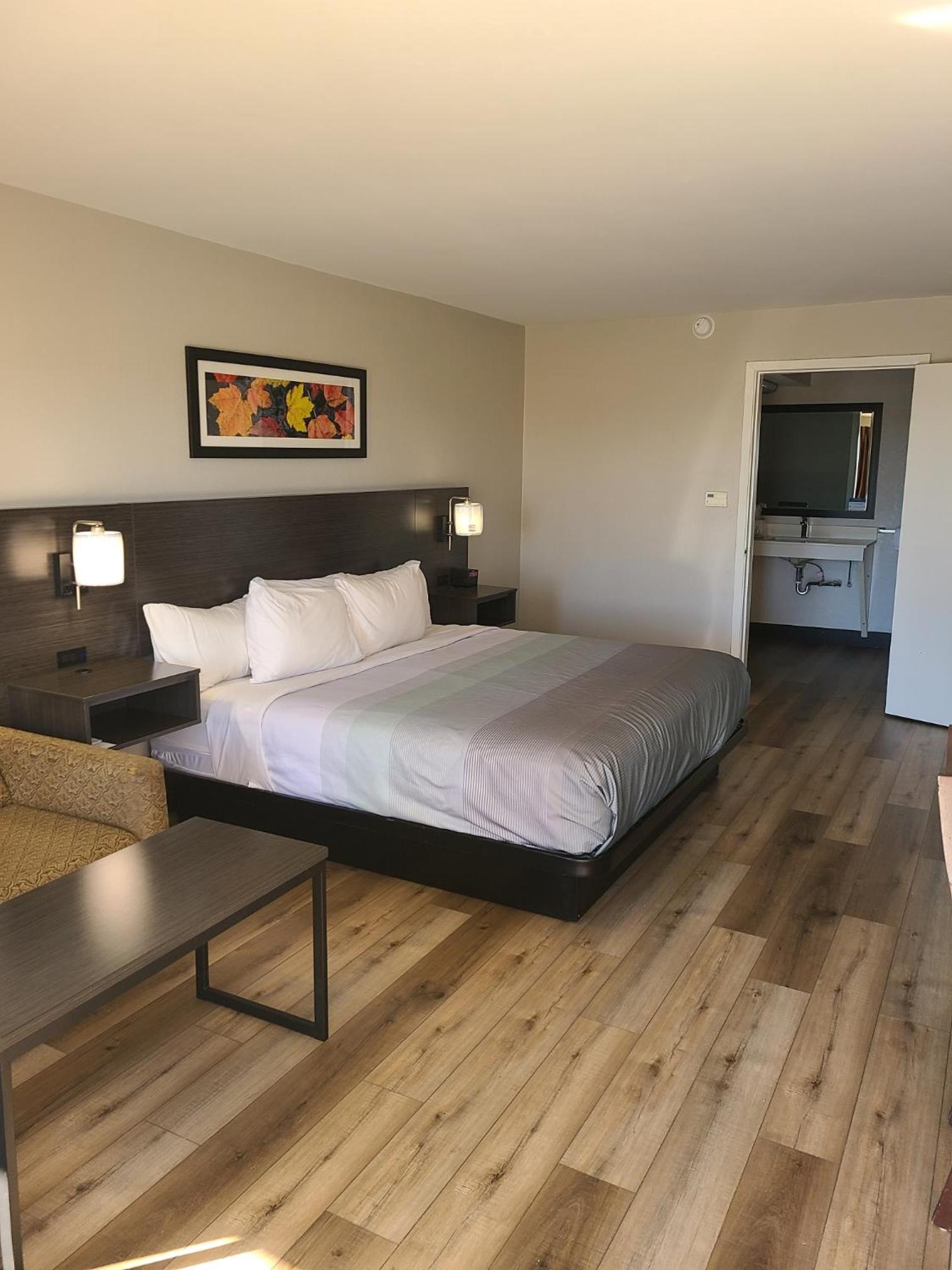 King Room - Disability Access photo 1