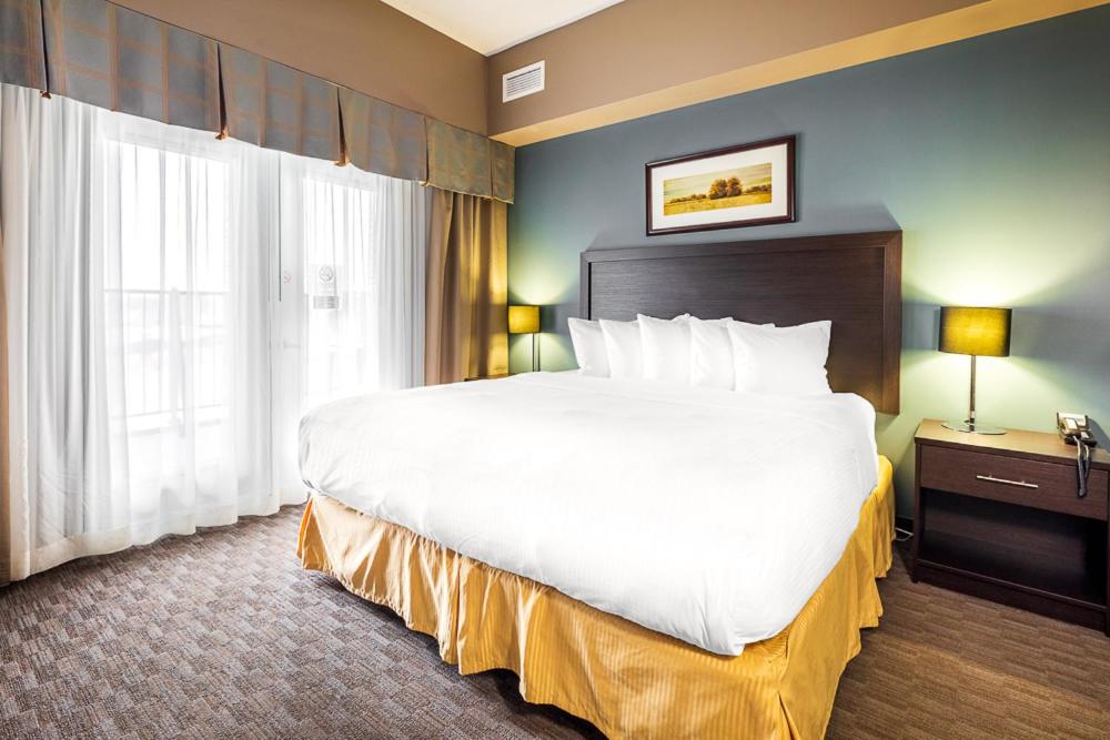 Efficiency King Suite with Sofa Bed - Non Smoking - Photo 4