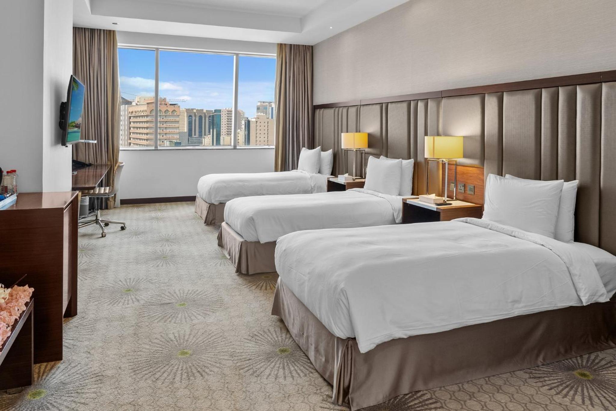 Ambassador Suite photo 2