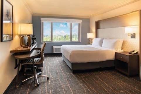 King Room with Mountain View - Photo 2