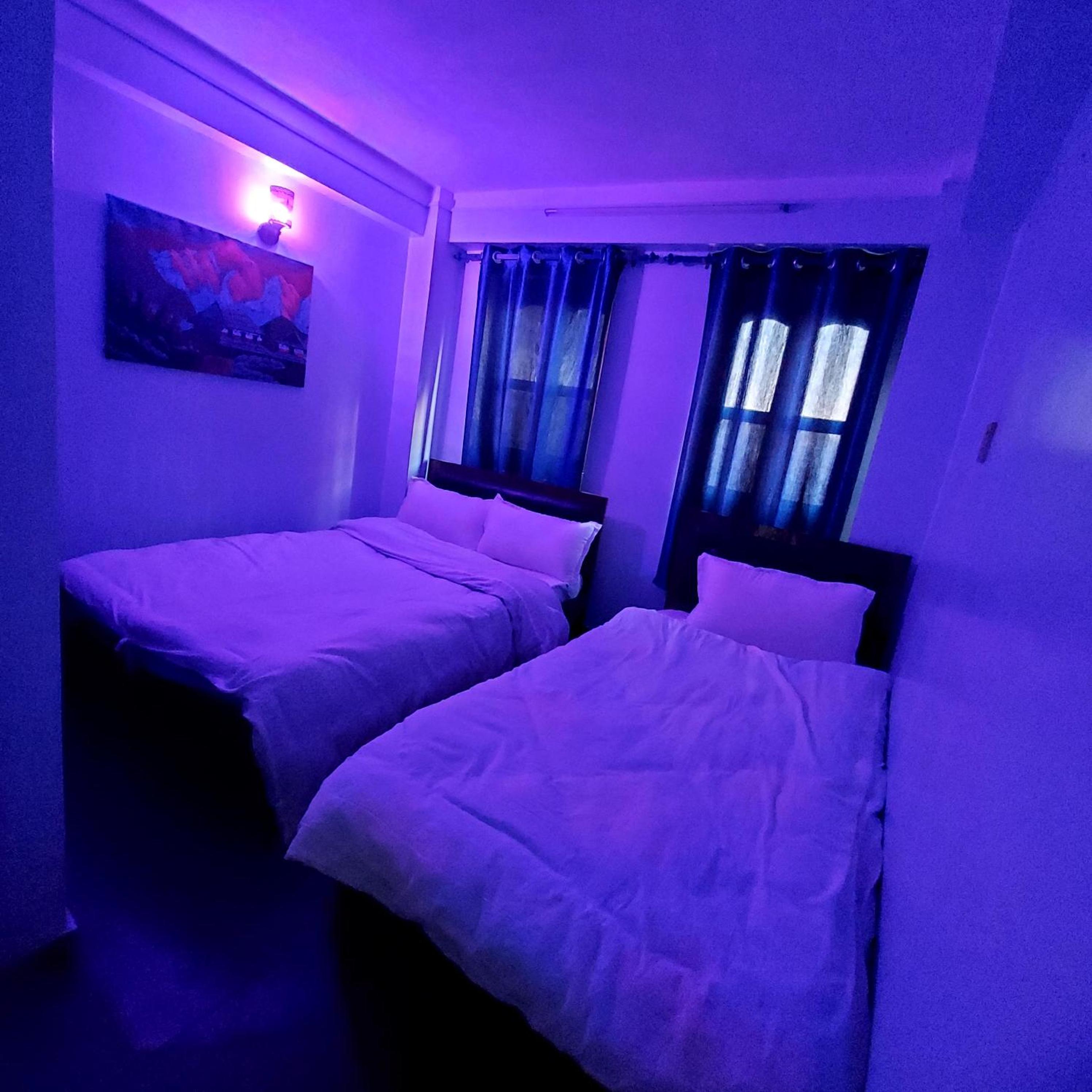 Double or Twin Room photo 2