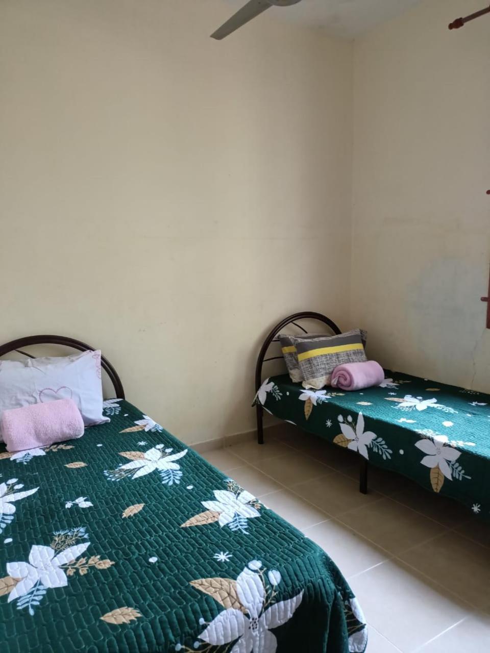 Three-Bedroom House photo 3