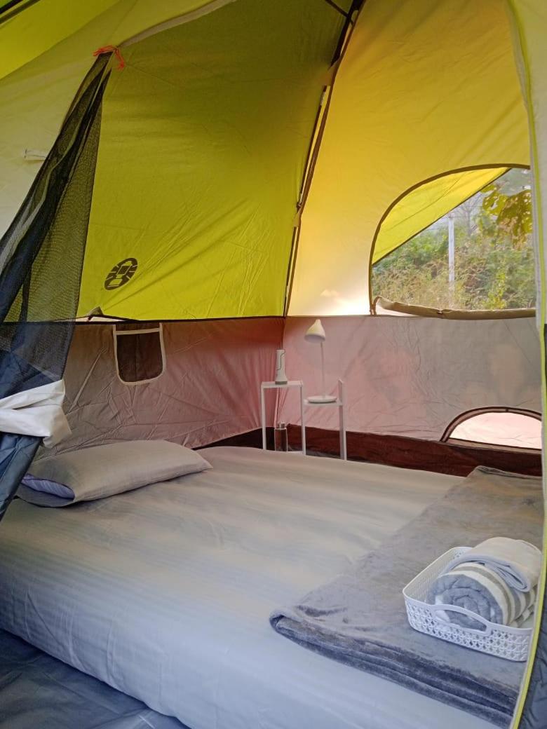 Mountain View Standard Tent 2 people photo 1