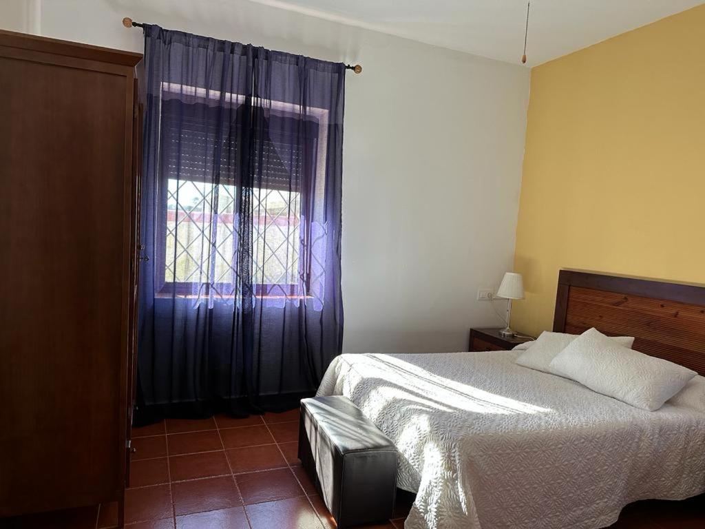 Double or Twin Room photo 3