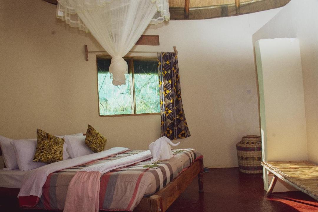 Double or Twin Room photo 1