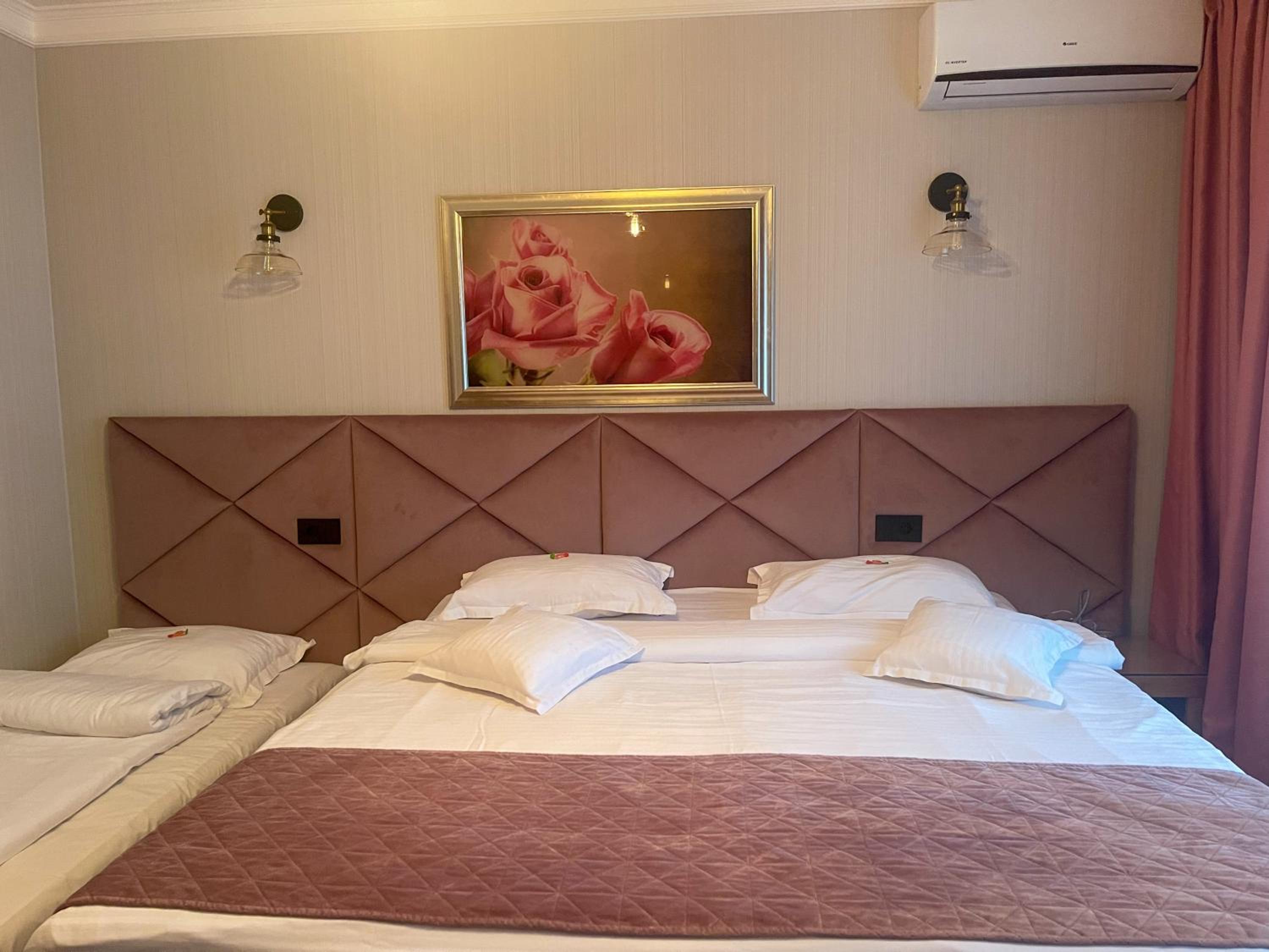 Double Room with Mountain View photo 2