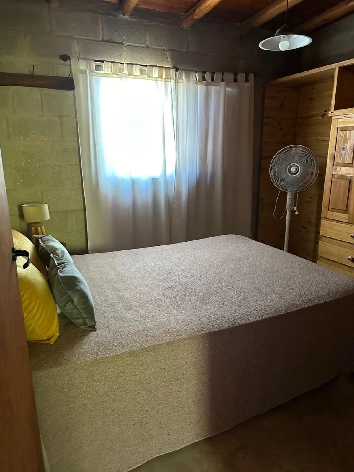 One-Bedroom House photo 3