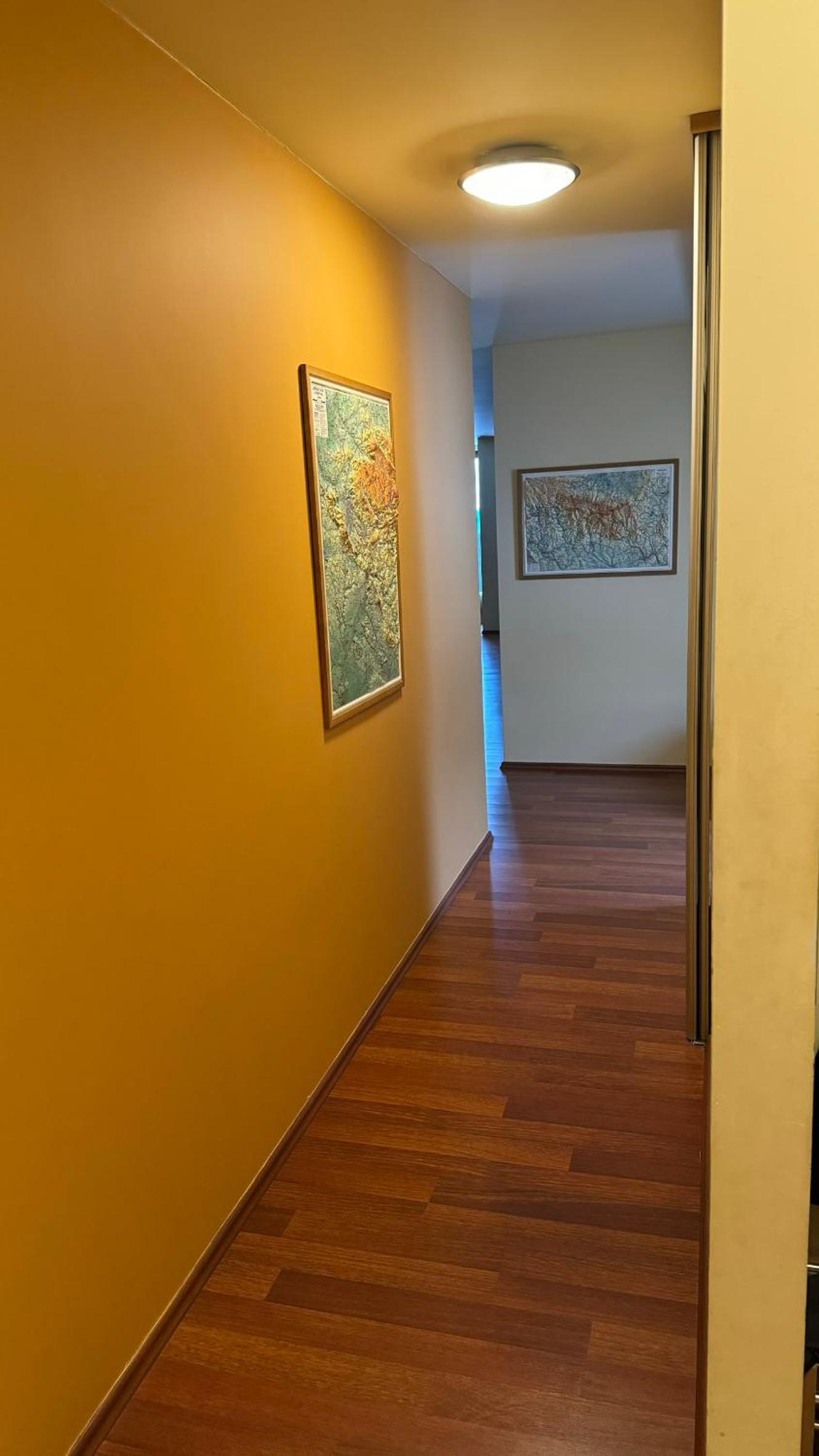 Deluxe Apartment photo 1