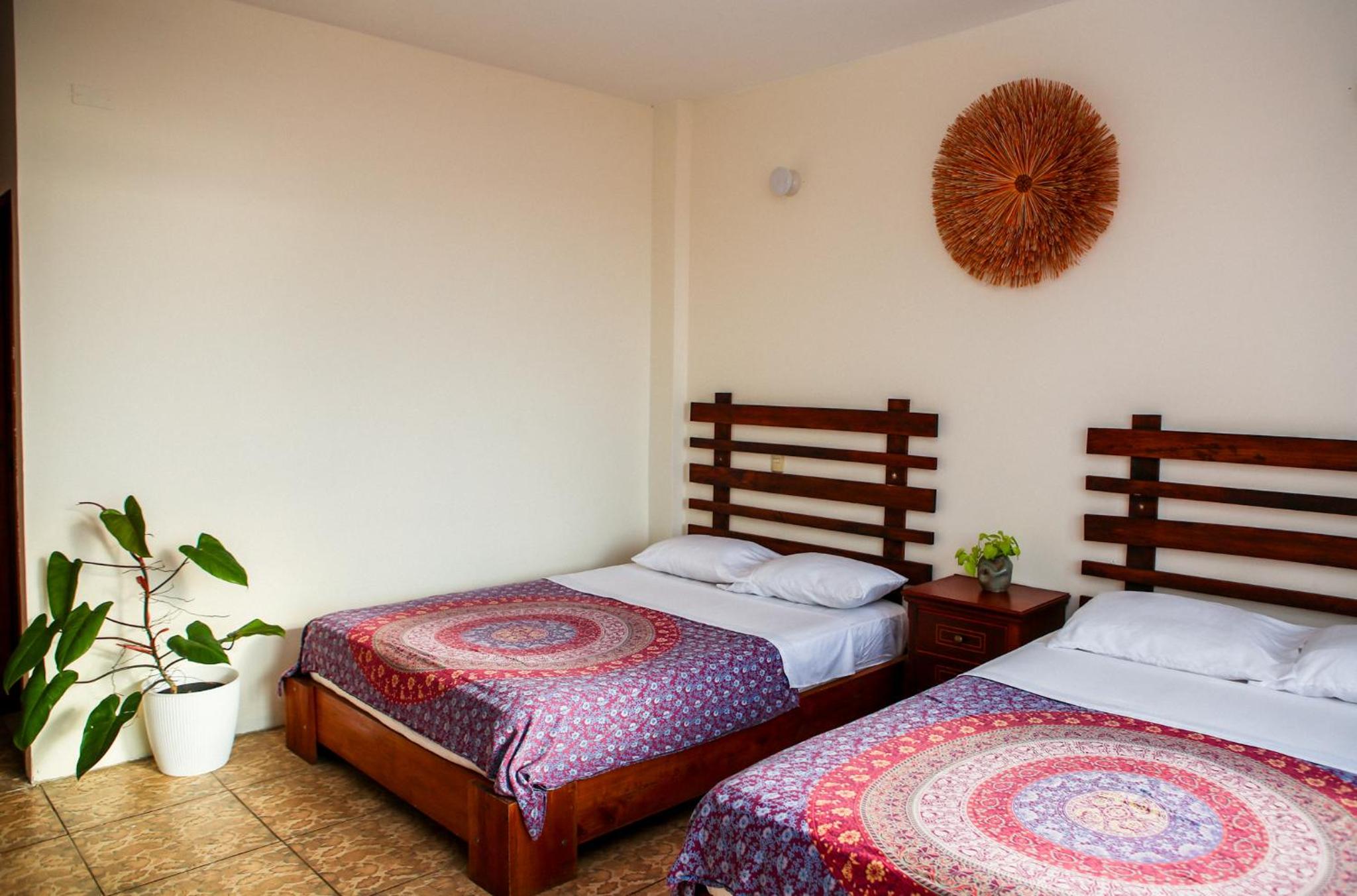 Twin Room With Sea View photo 3