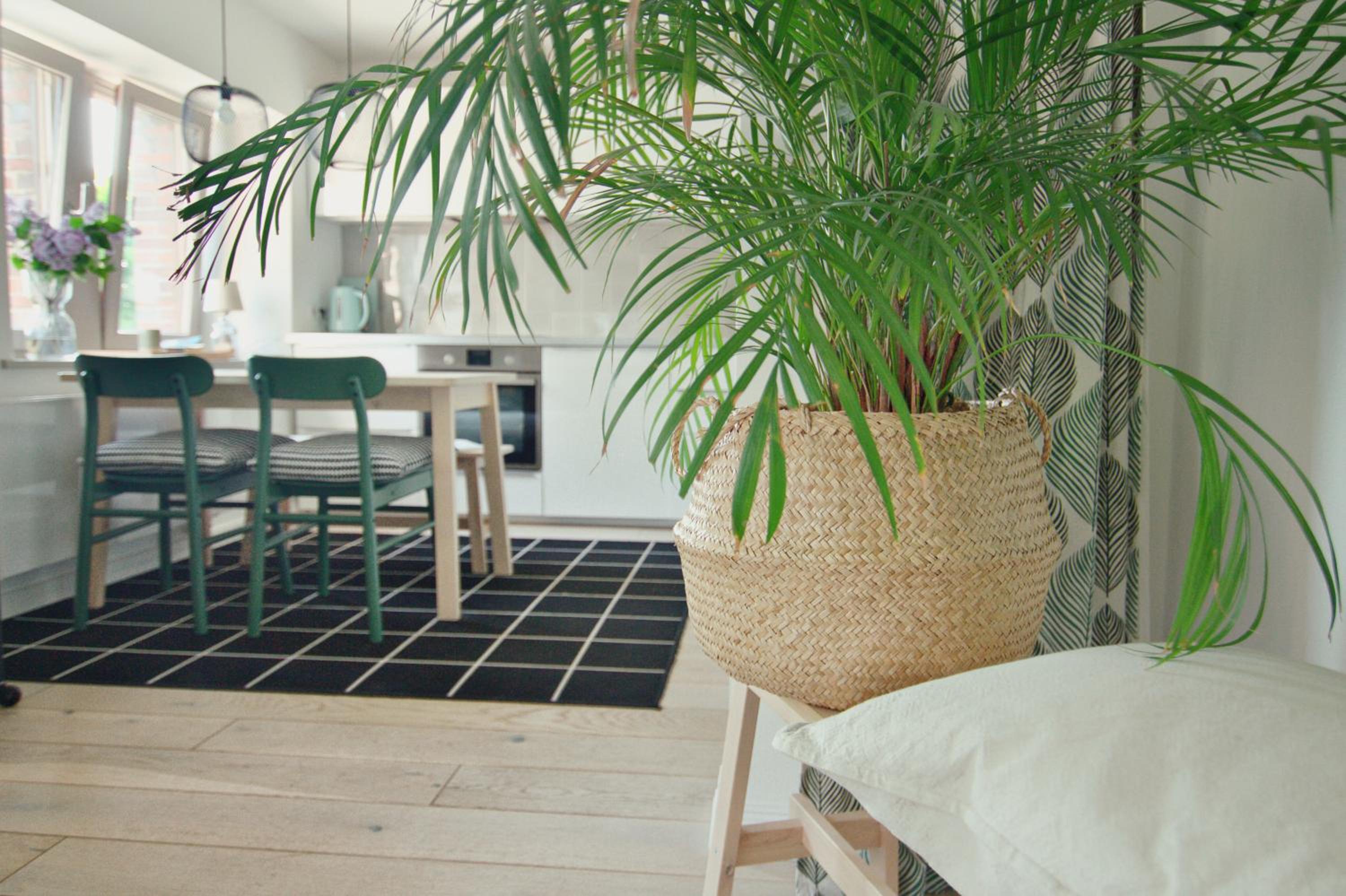 Apartment - Photo 23