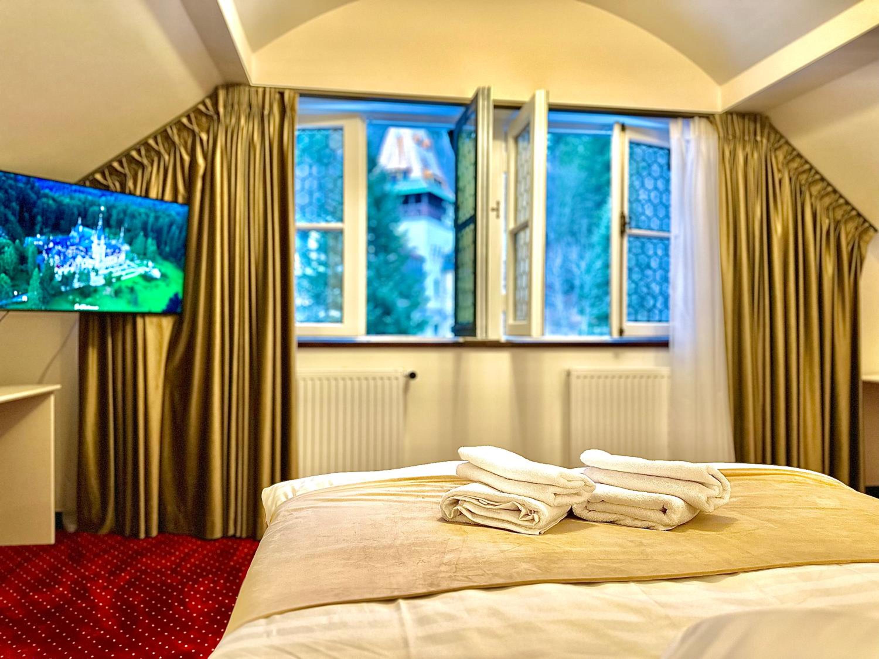 Camera dublă cu vedere la Castel Pelișor photo 1