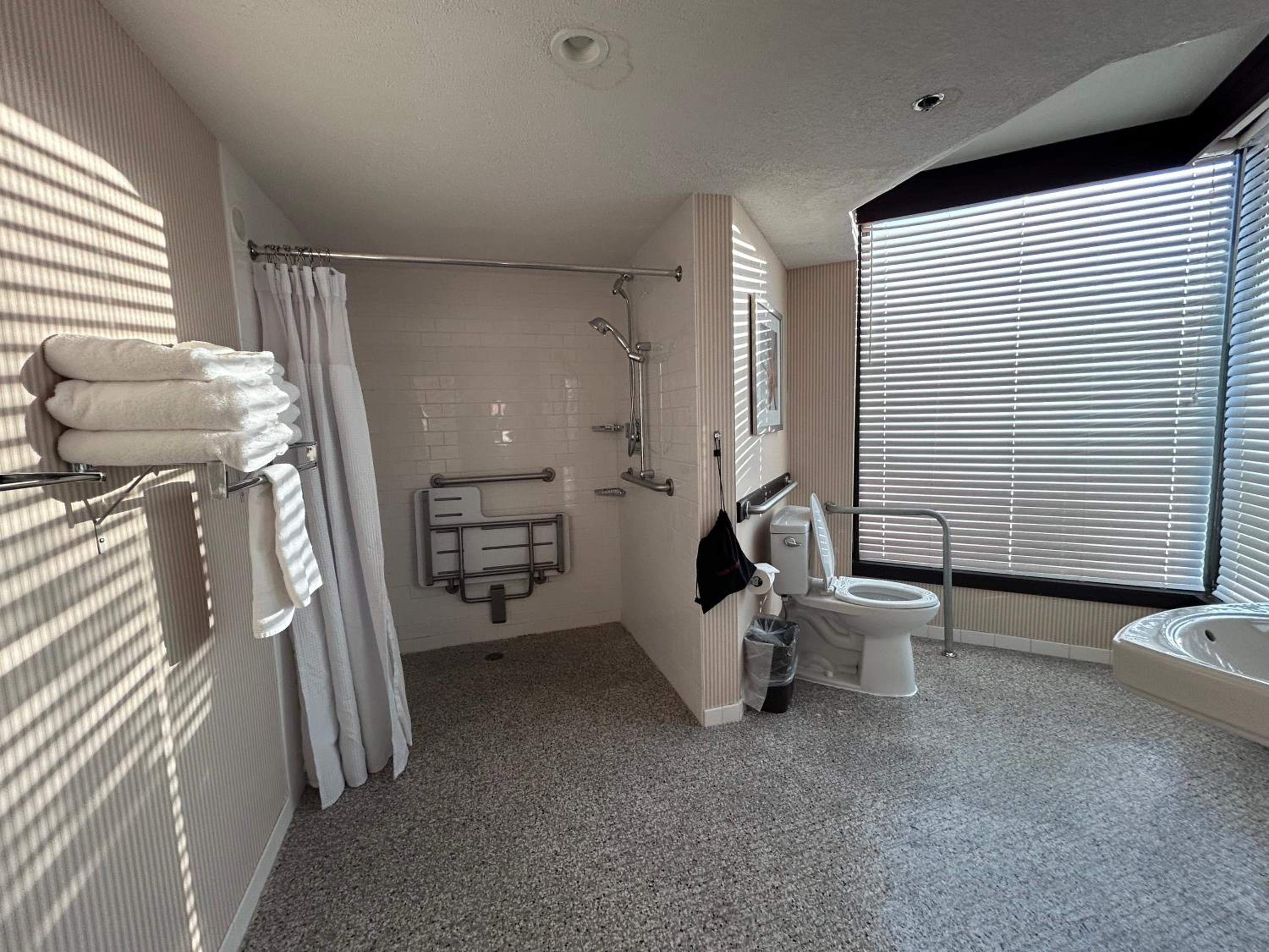 King Room with Roll-in Shower - Mobility Access/Non-Smoking - Photo 7