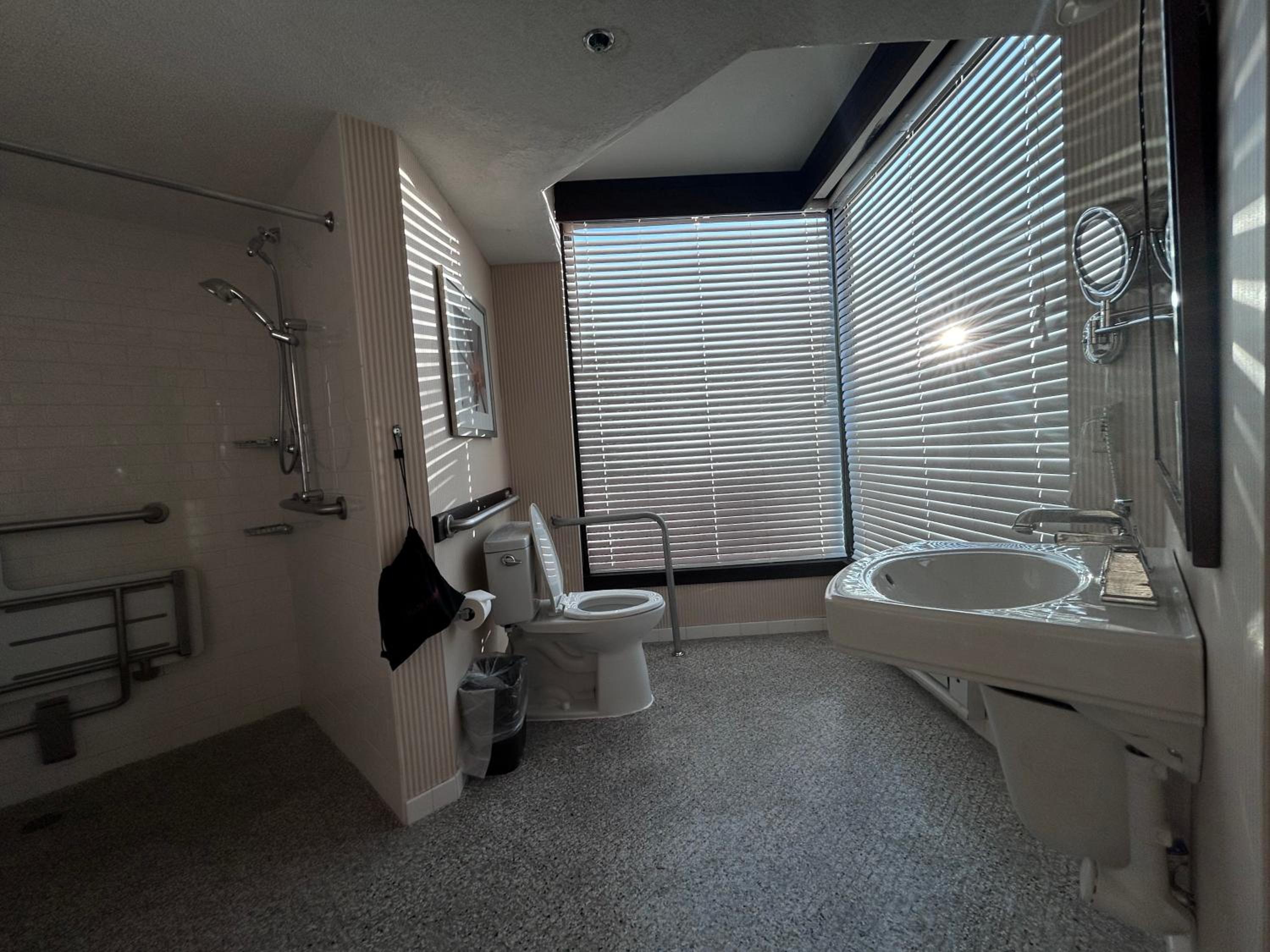 King Room with Roll-in Shower - Mobility Access/Non-Smoking - Photo 5