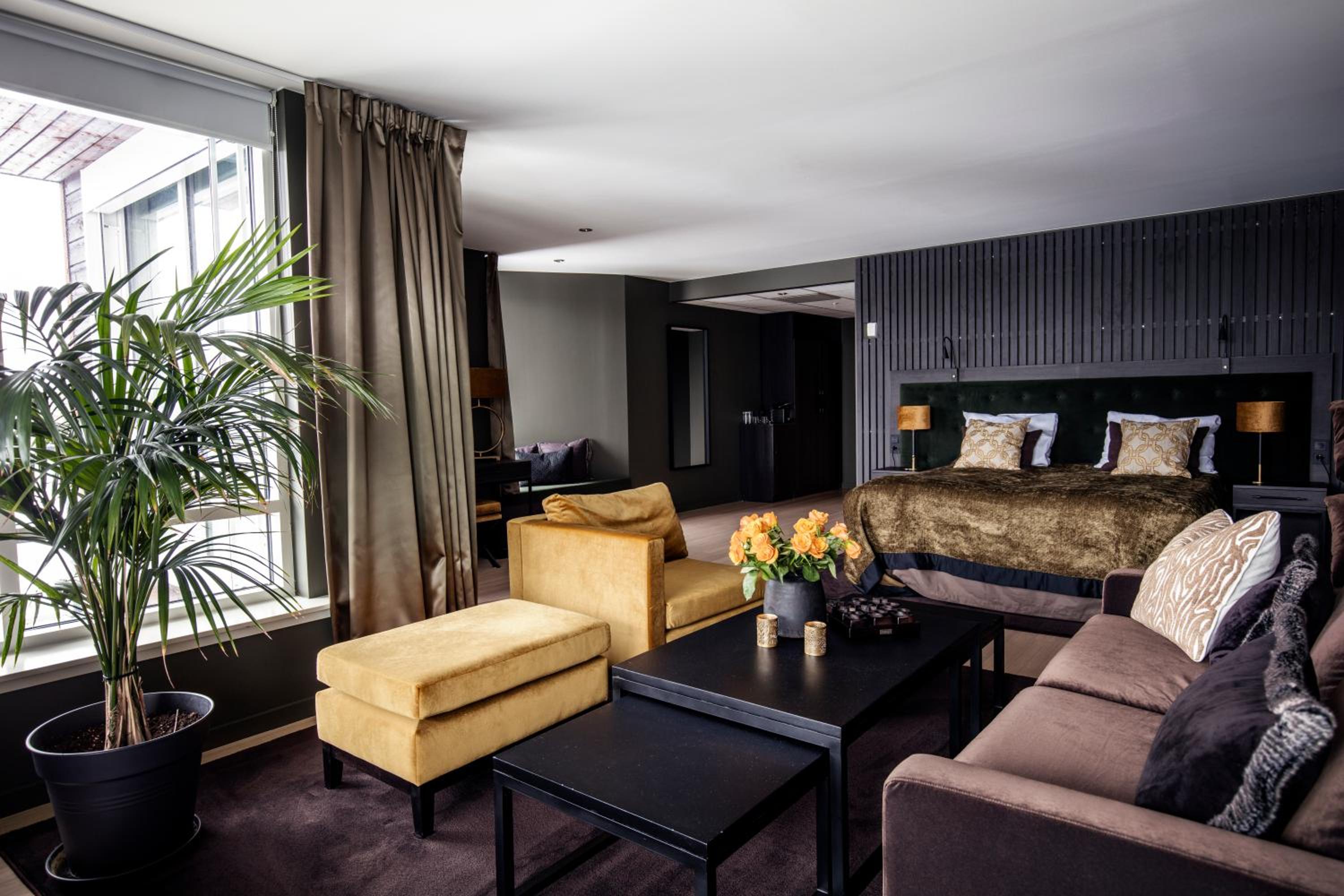 Senior Suite - Photo 1