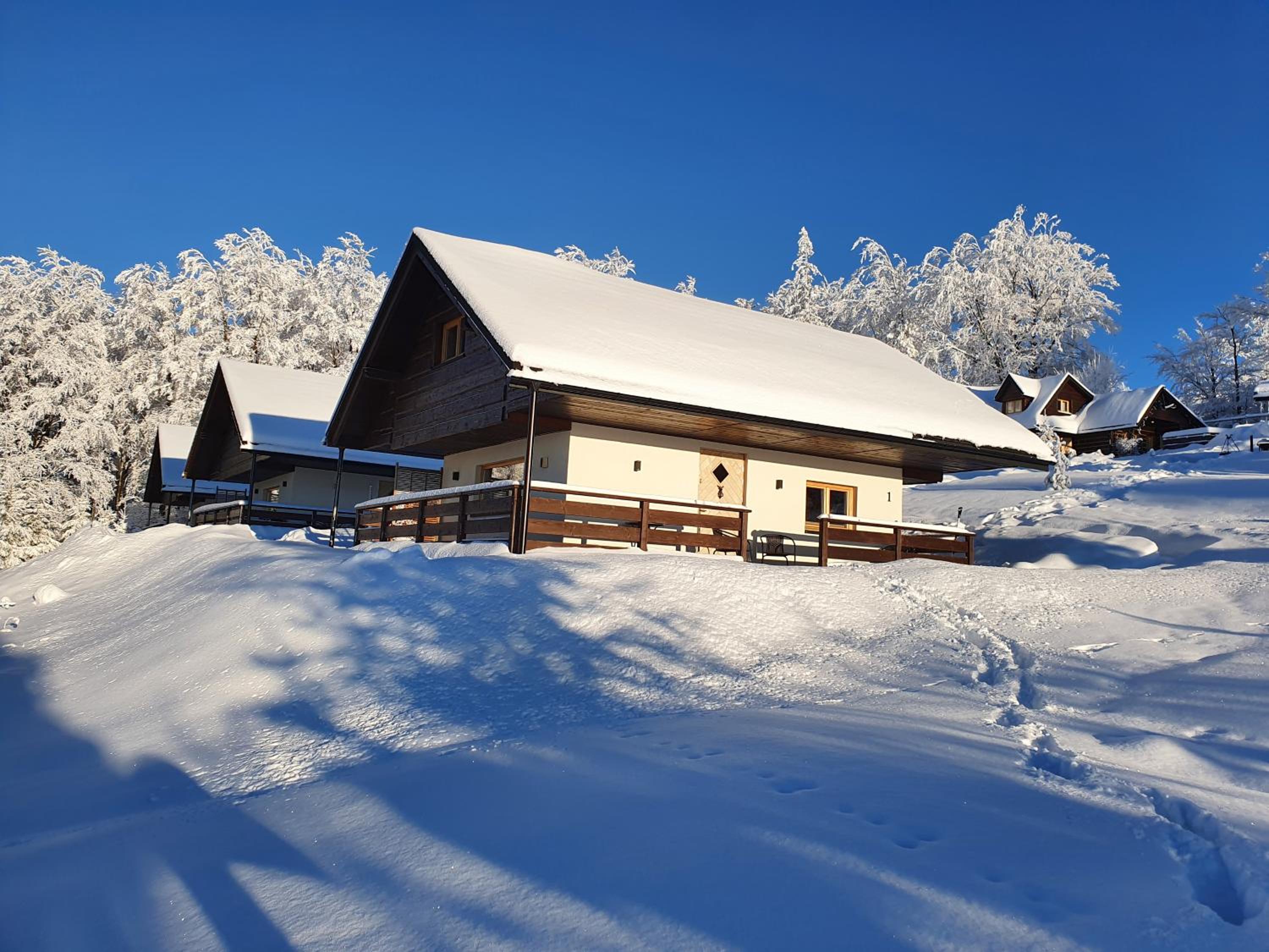 Two-Bedroom Chalet photo 2