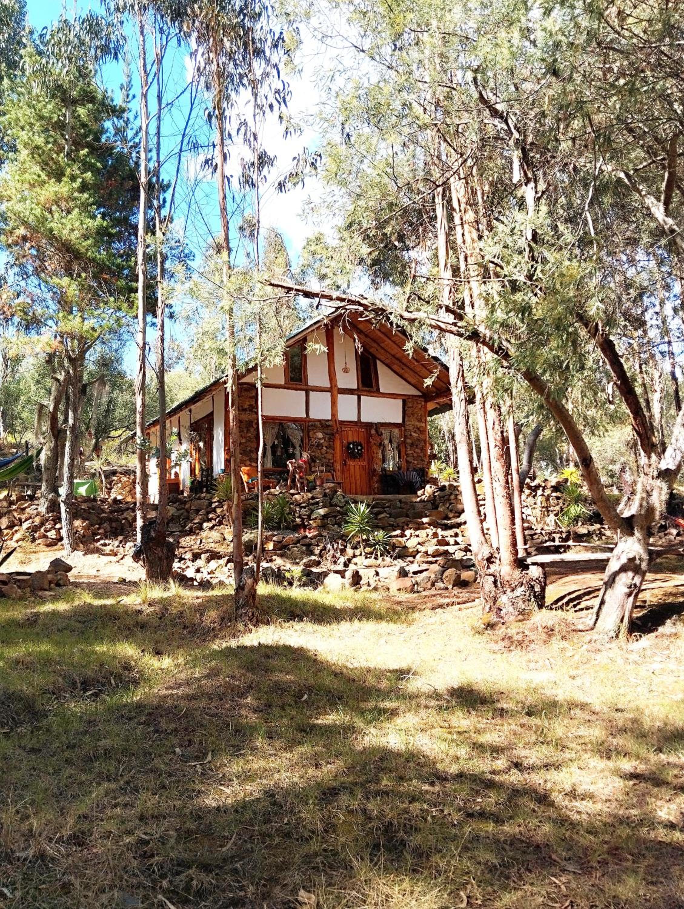 Two-Bedroom Chalet photo 3
