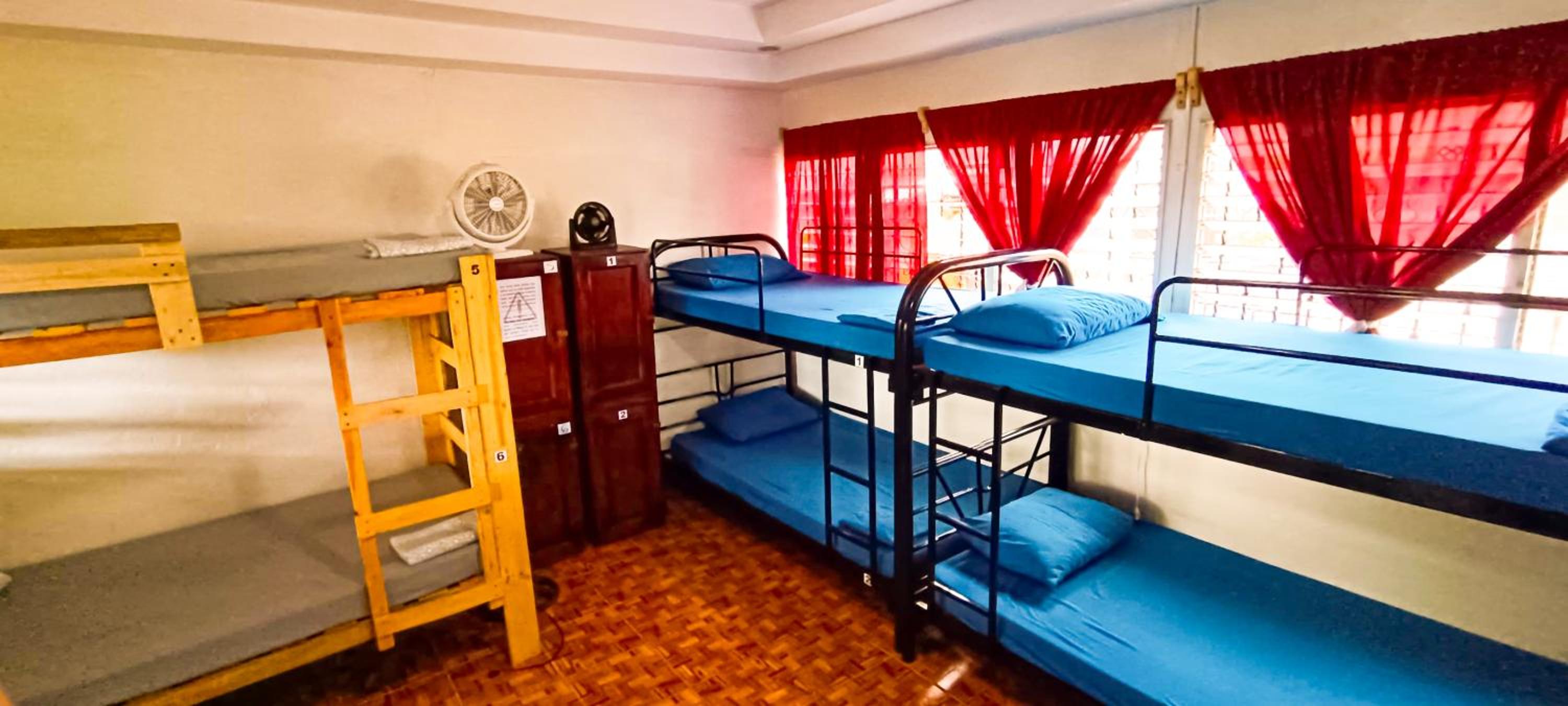Bunk Bed in Mixed Dormitory Room photo 1
