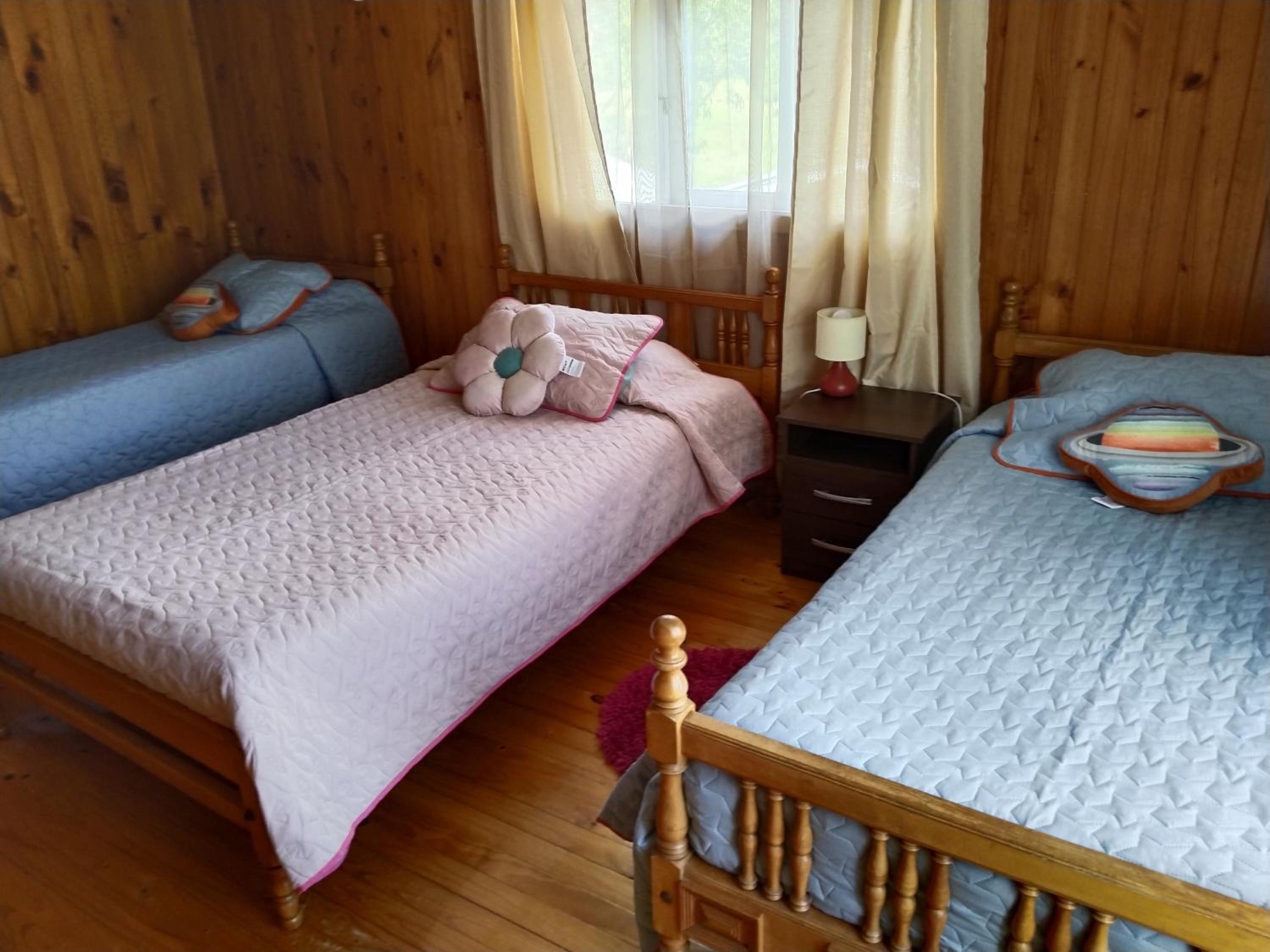Single Bed In Mixed Dormitory Room photo 1