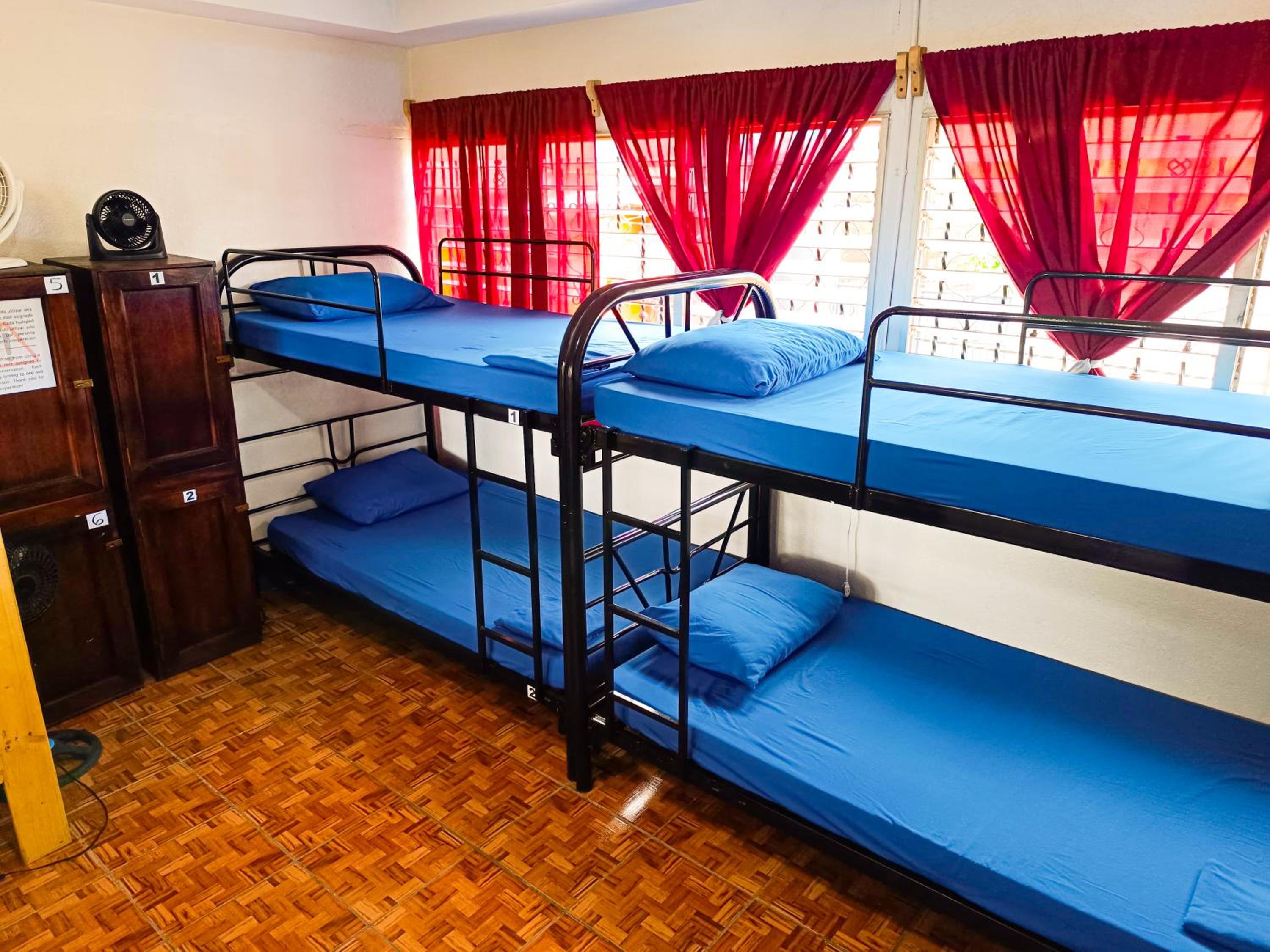 Bunk Bed in Mixed Dormitory Room photo 3