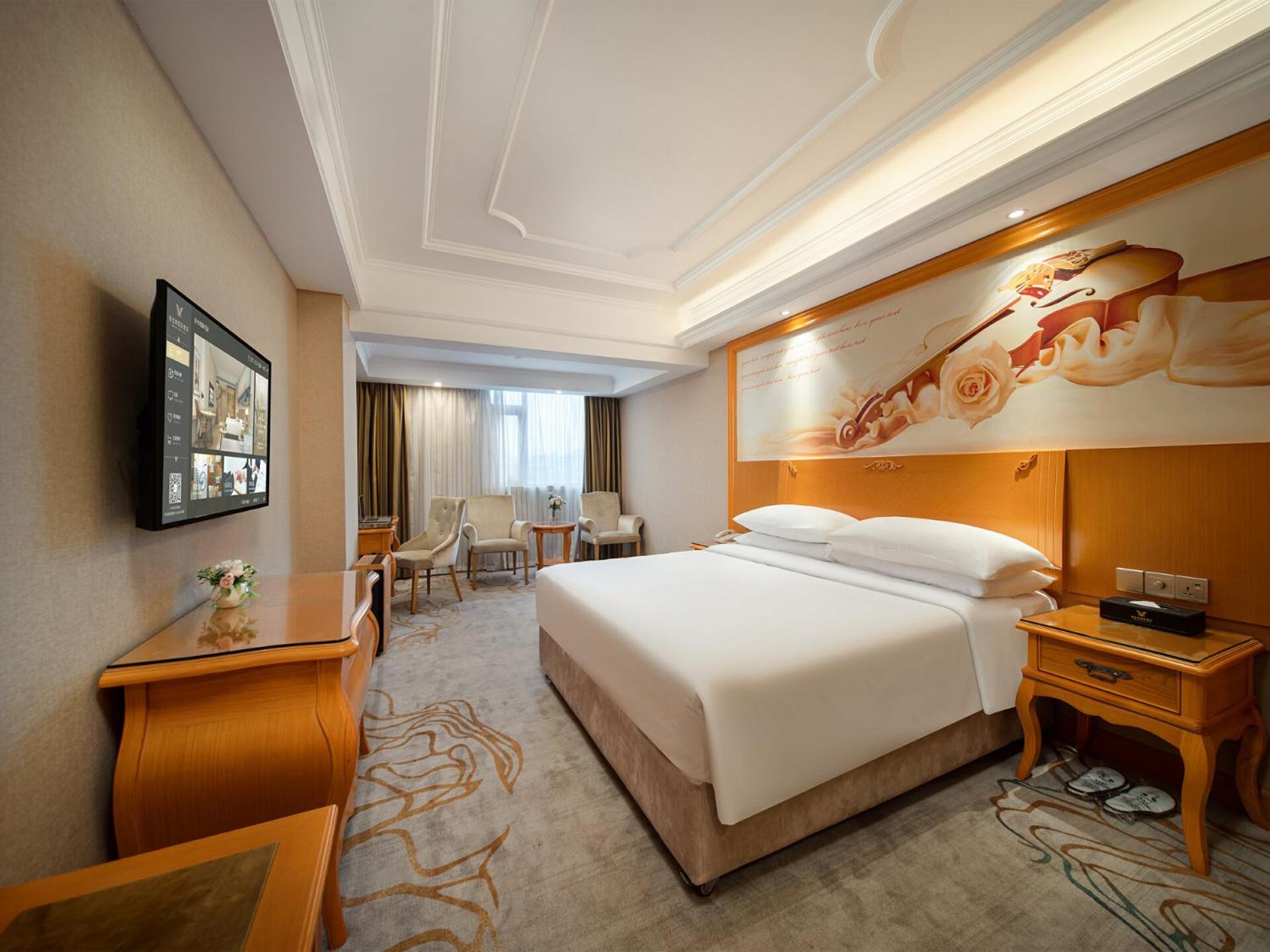 Deluxe Double Room  photo 2