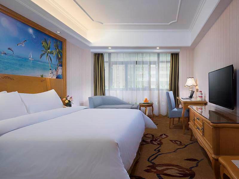 Deluxe Double Room  photo 1