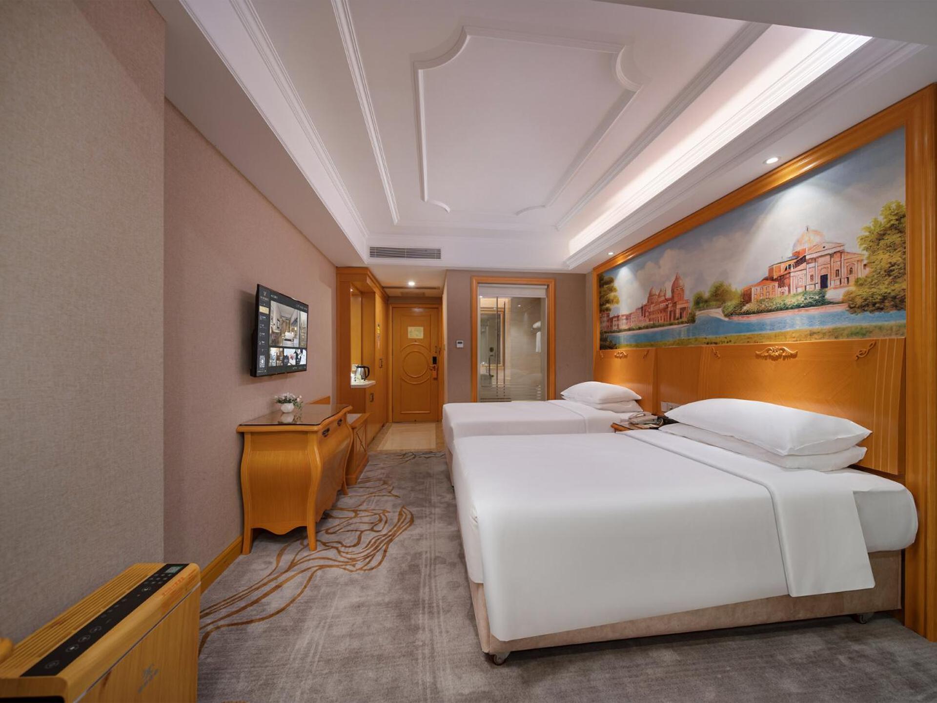 Deluxe Twin Room photo 3