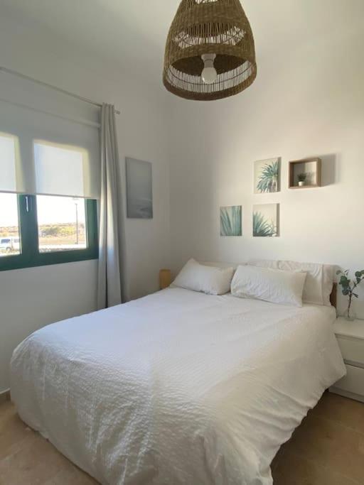 Apartamento con Terraza