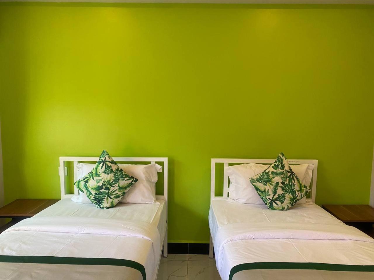 Standard Twin Room photo 2