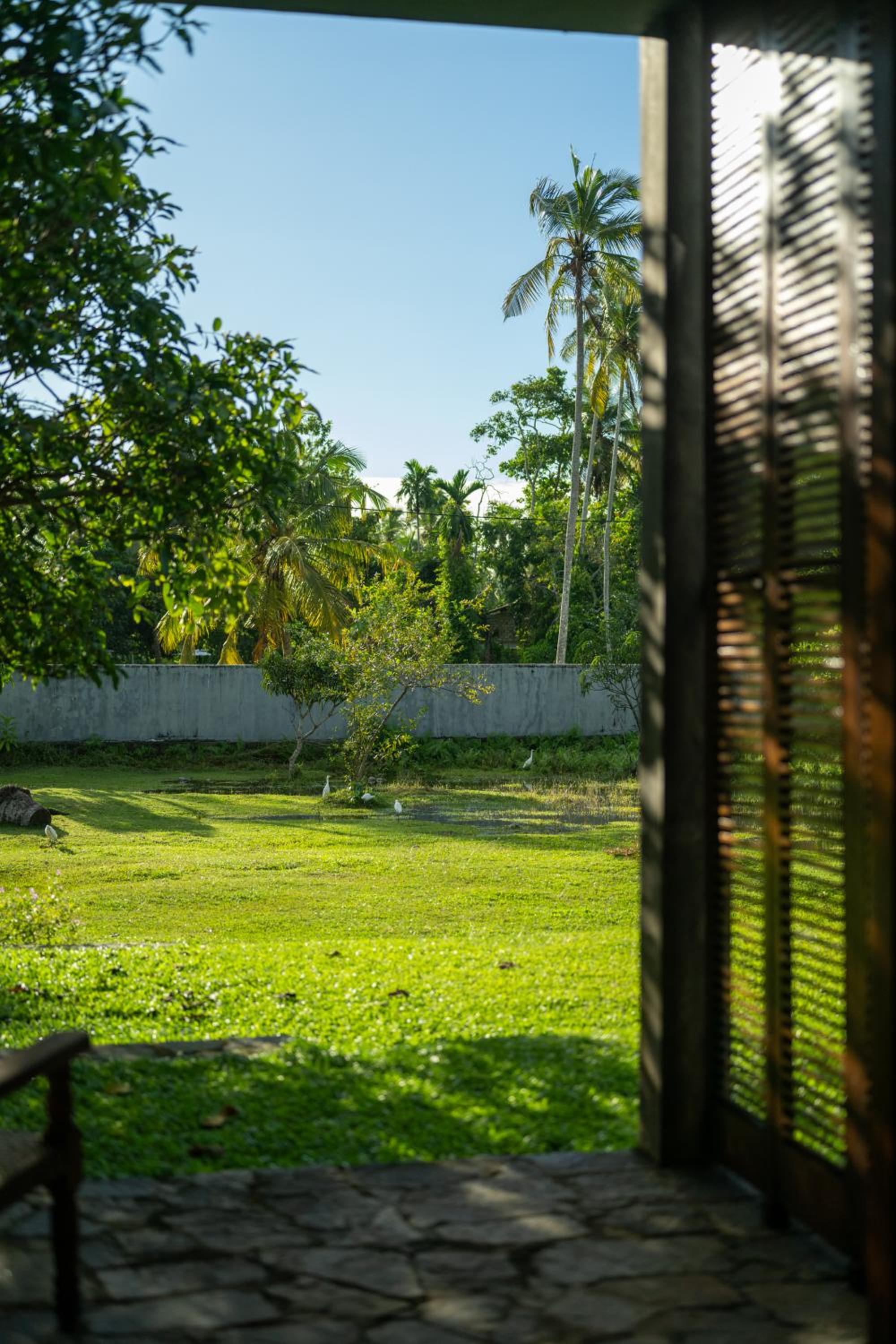 Suite with Garden View with one free tuk tuk to Galle fort & Complementary Sri Lankan tea per stay photo 3