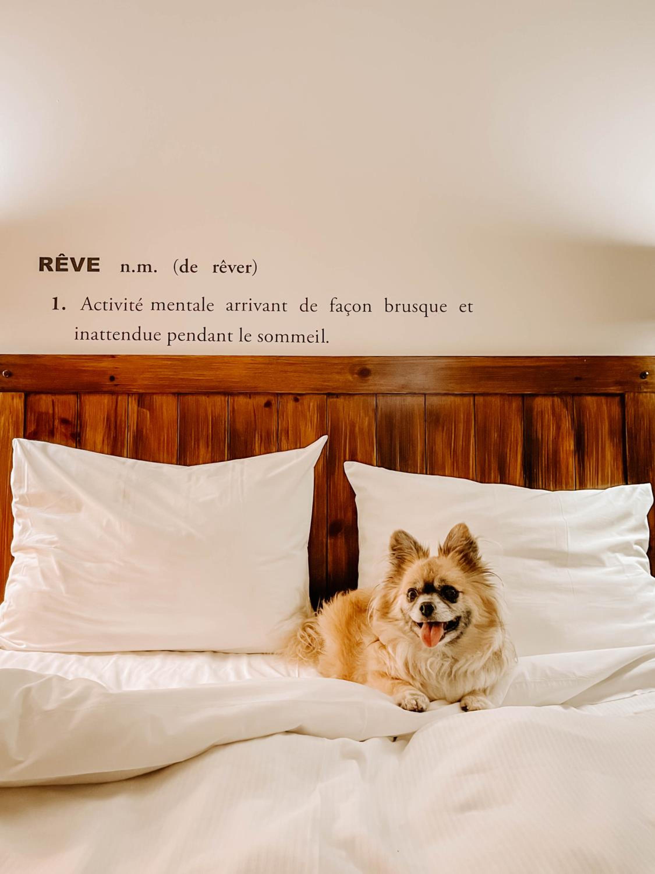 Queen Room photo 1