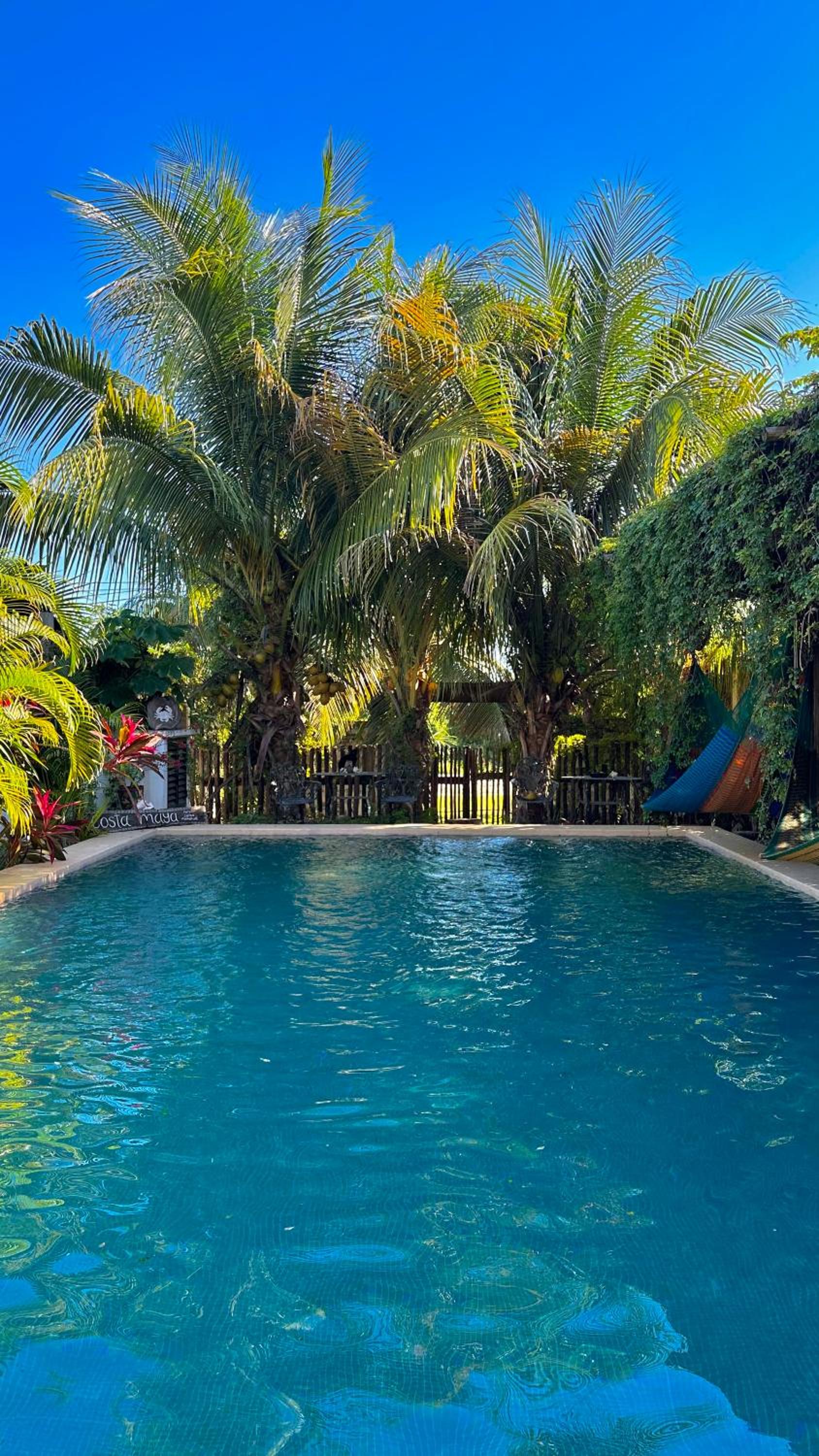 Twin Room with Pool View - Photo 3