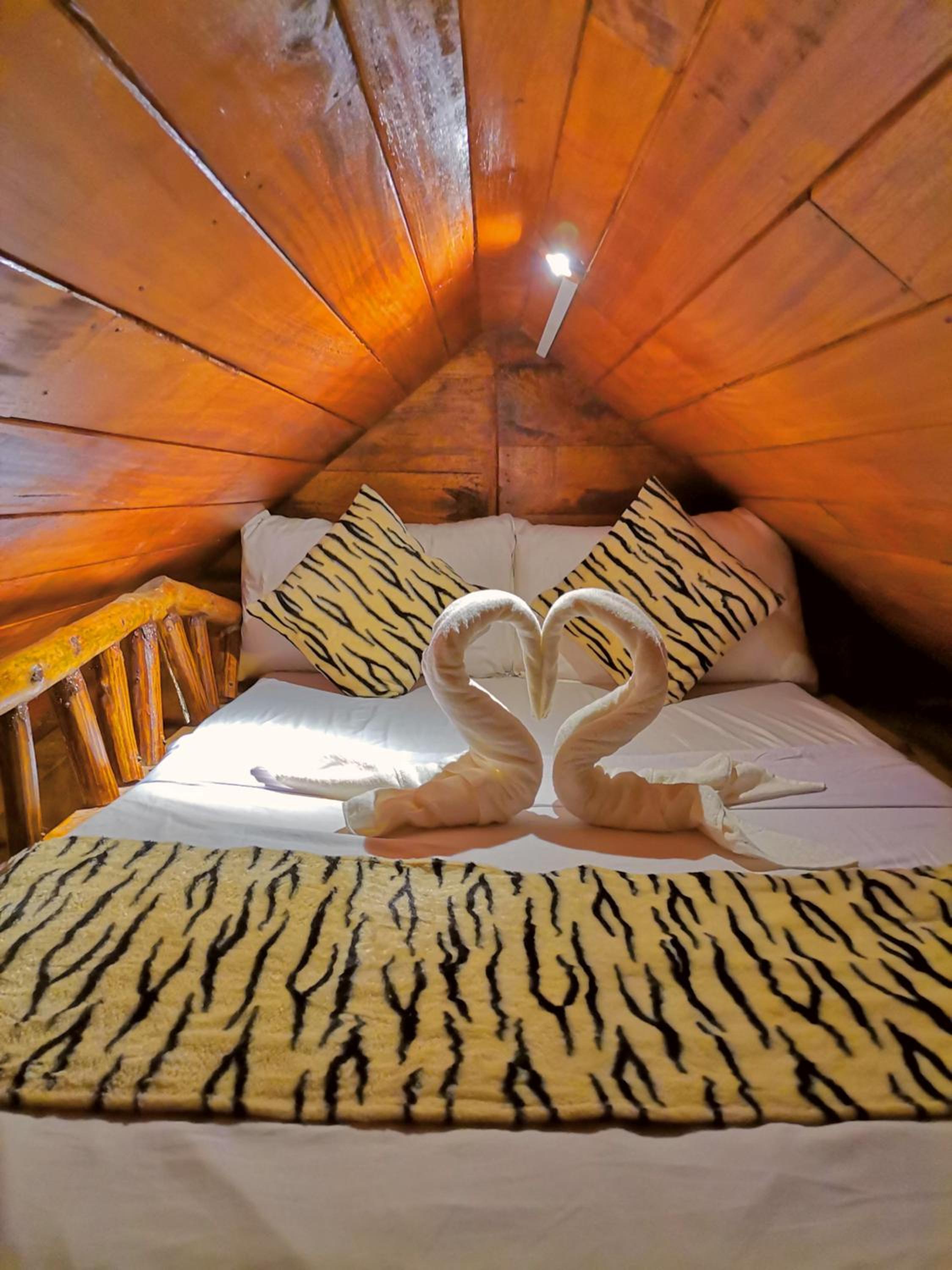 Family Suite photo 2