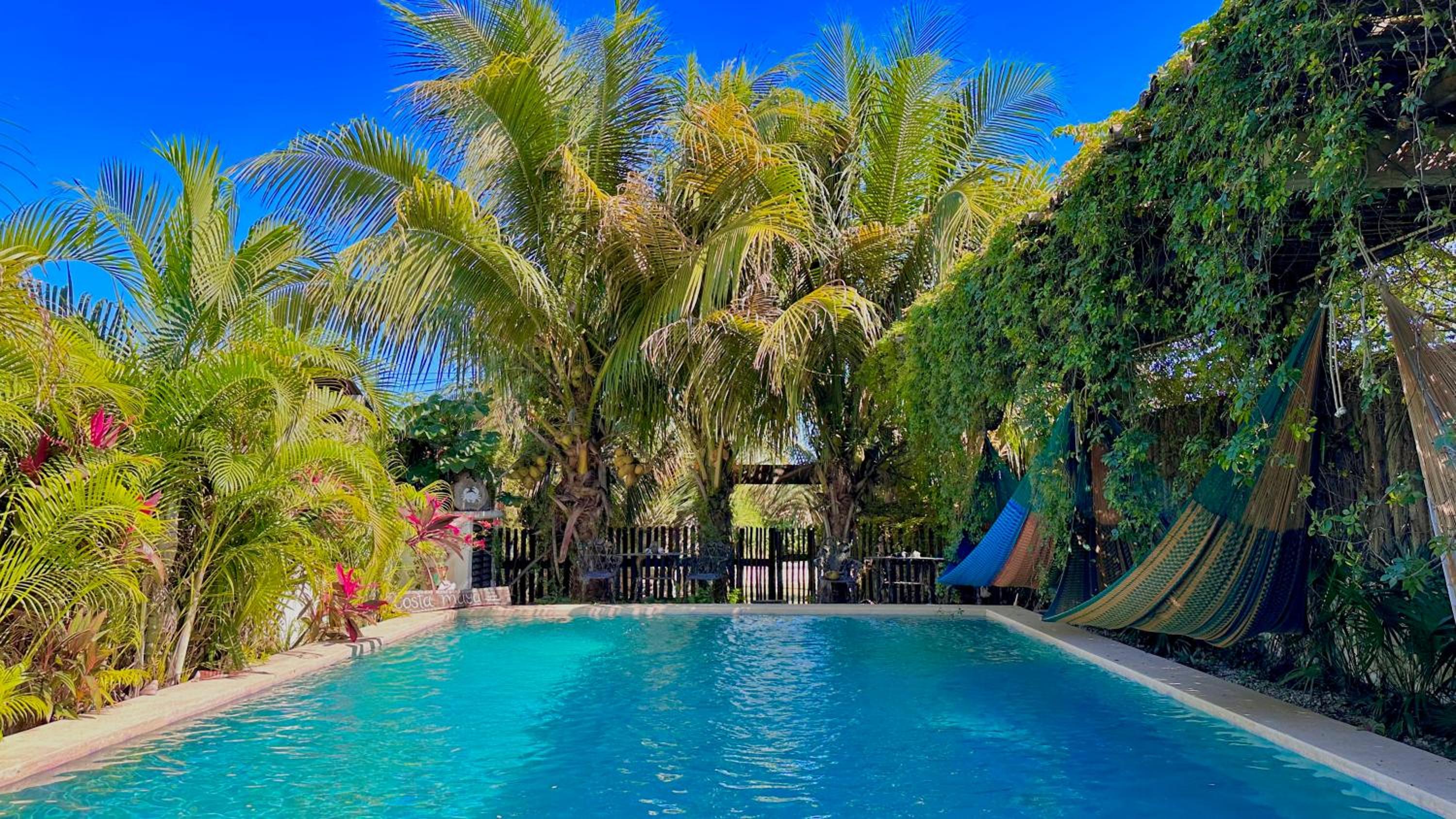 Twin Room with Pool View - Photo 5