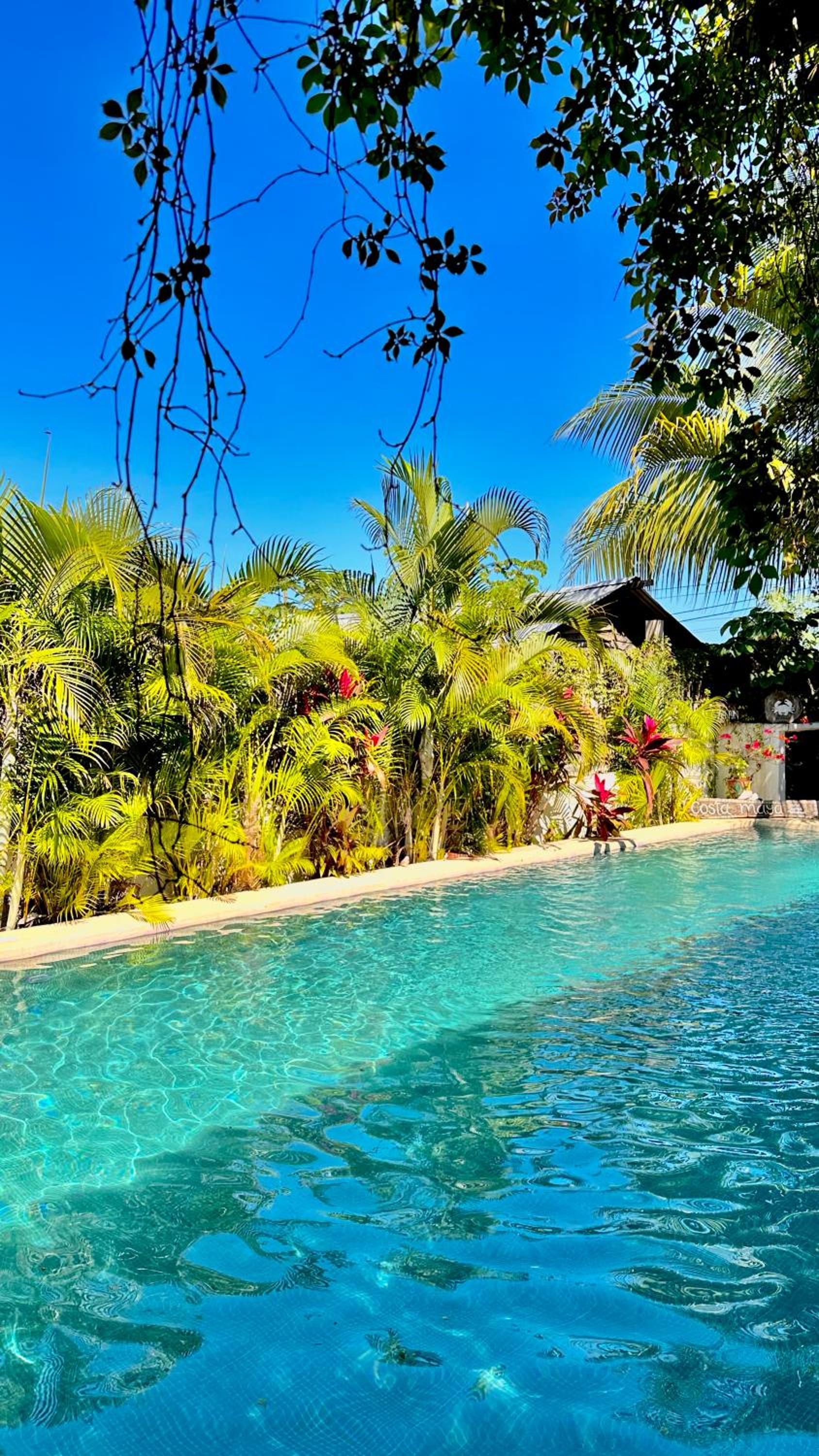 Twin Room with Pool View - Photo 4