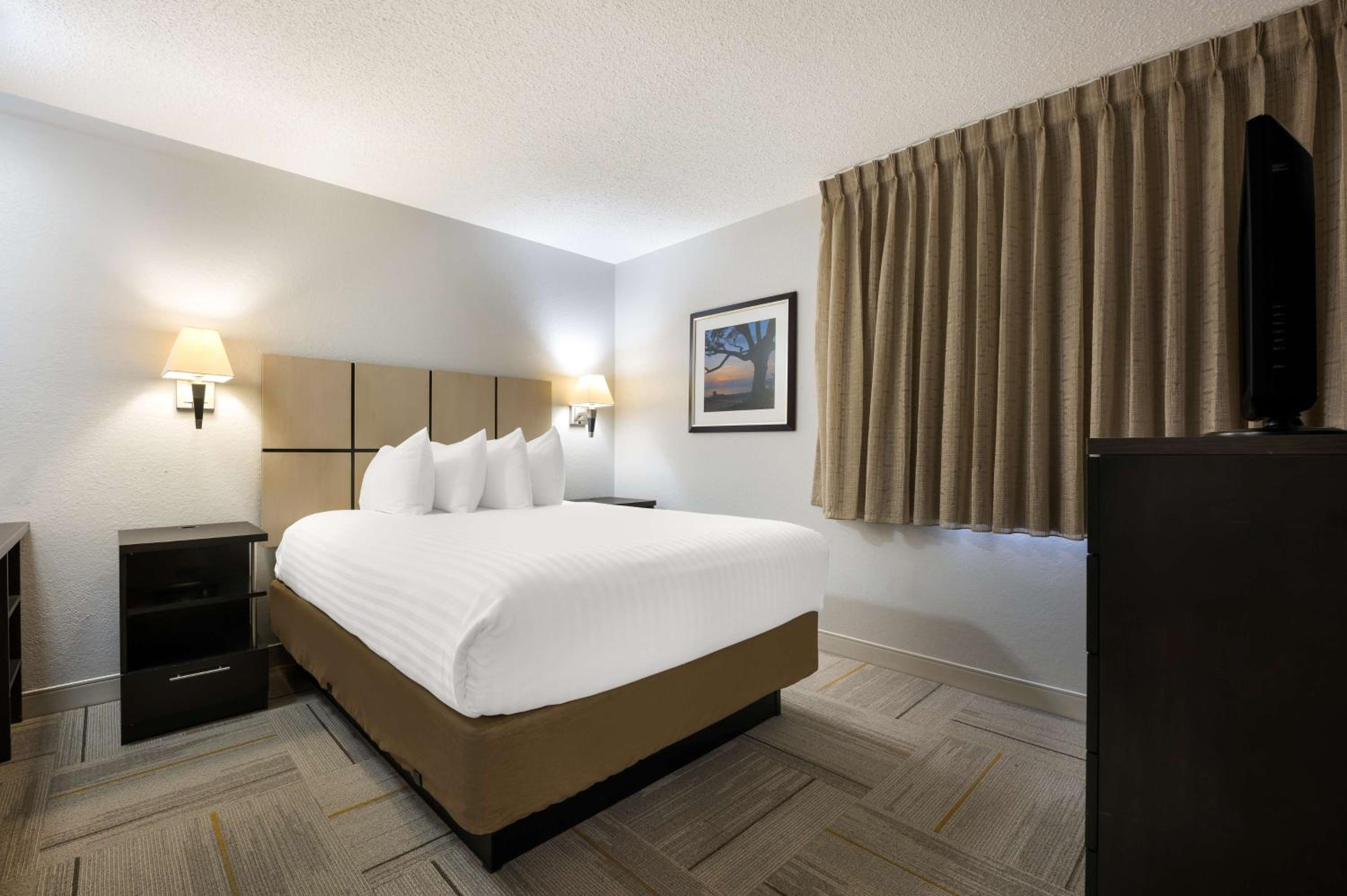 One Bedroom Suite Queen - Photo 8