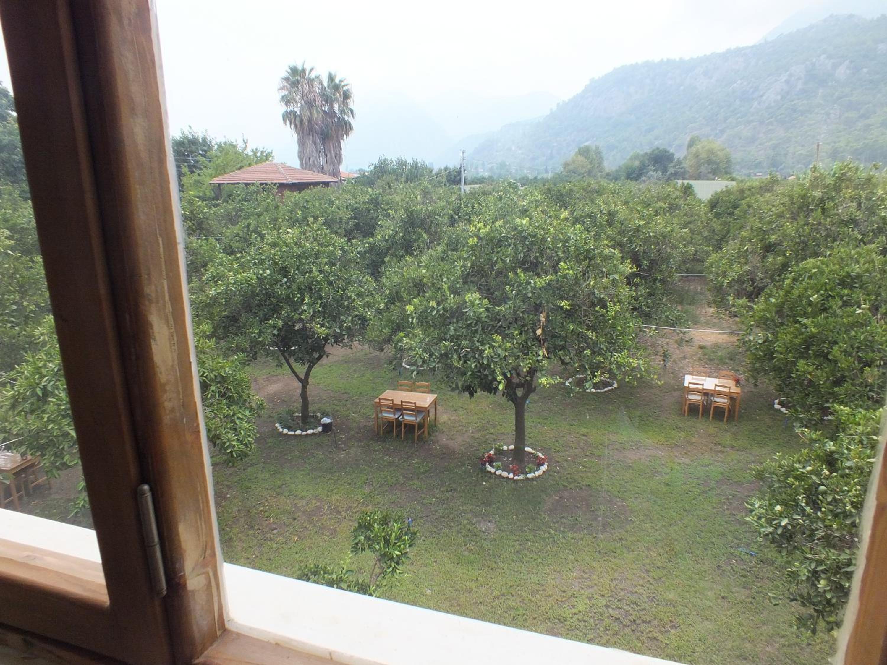 Triple Room with Mountain View photo 3