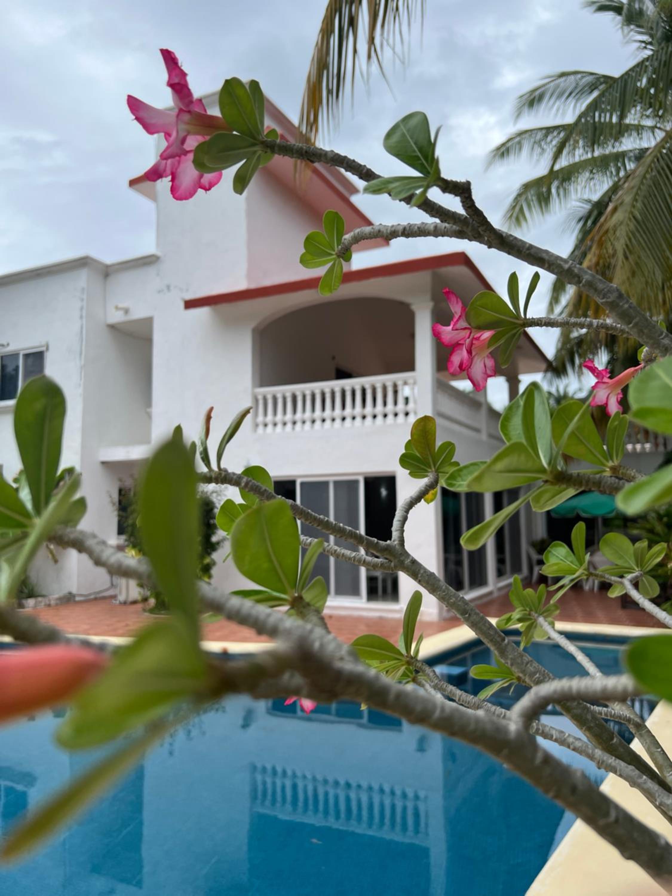 Six-Bedroom House photo 2