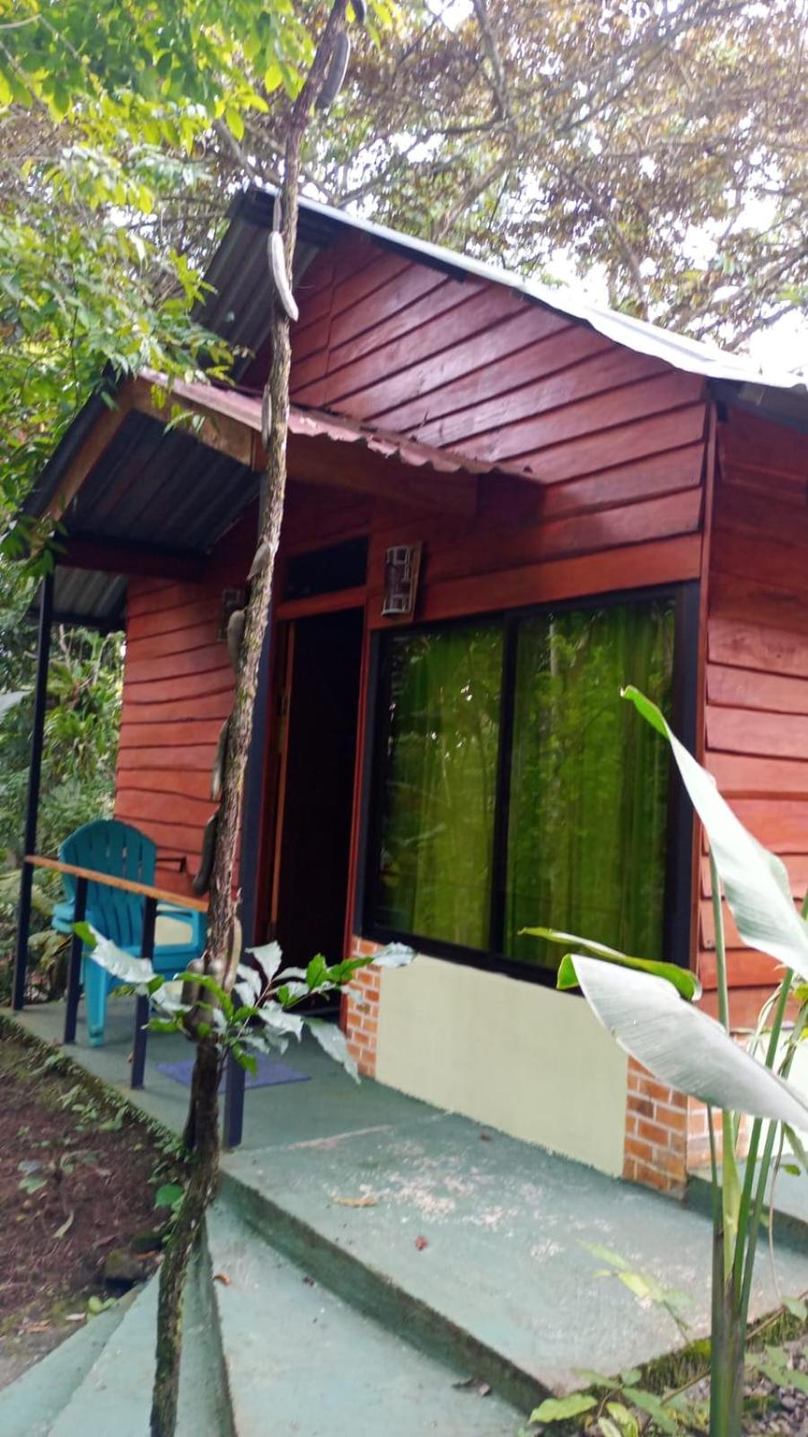 Quadruple Room with Private Bathroom photo 3
