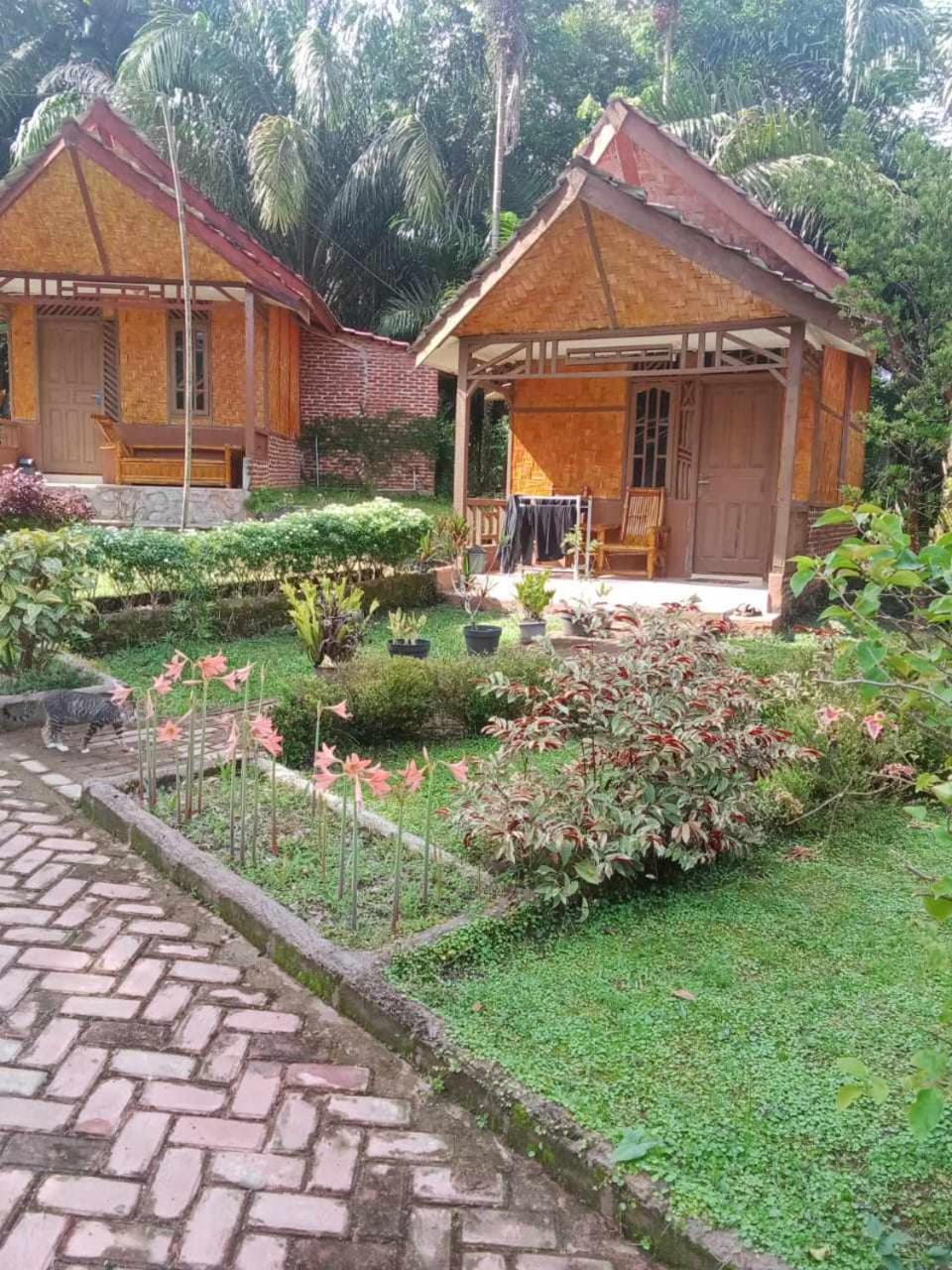 Deluxe Double Room with Balcony photo 3