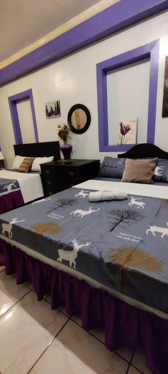 Deluxe Quadruple Room photo 3