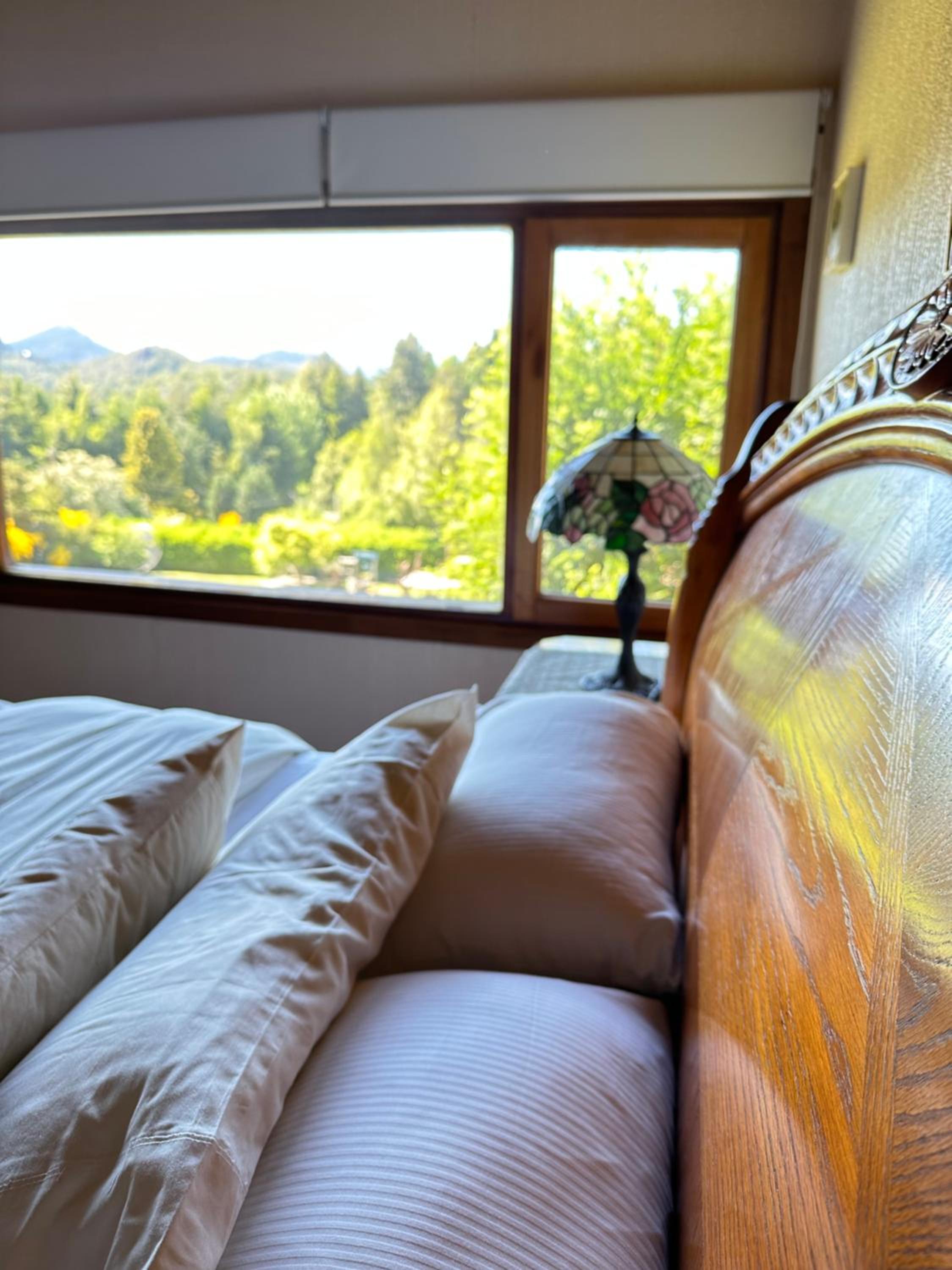 Superior Apartment photo 1