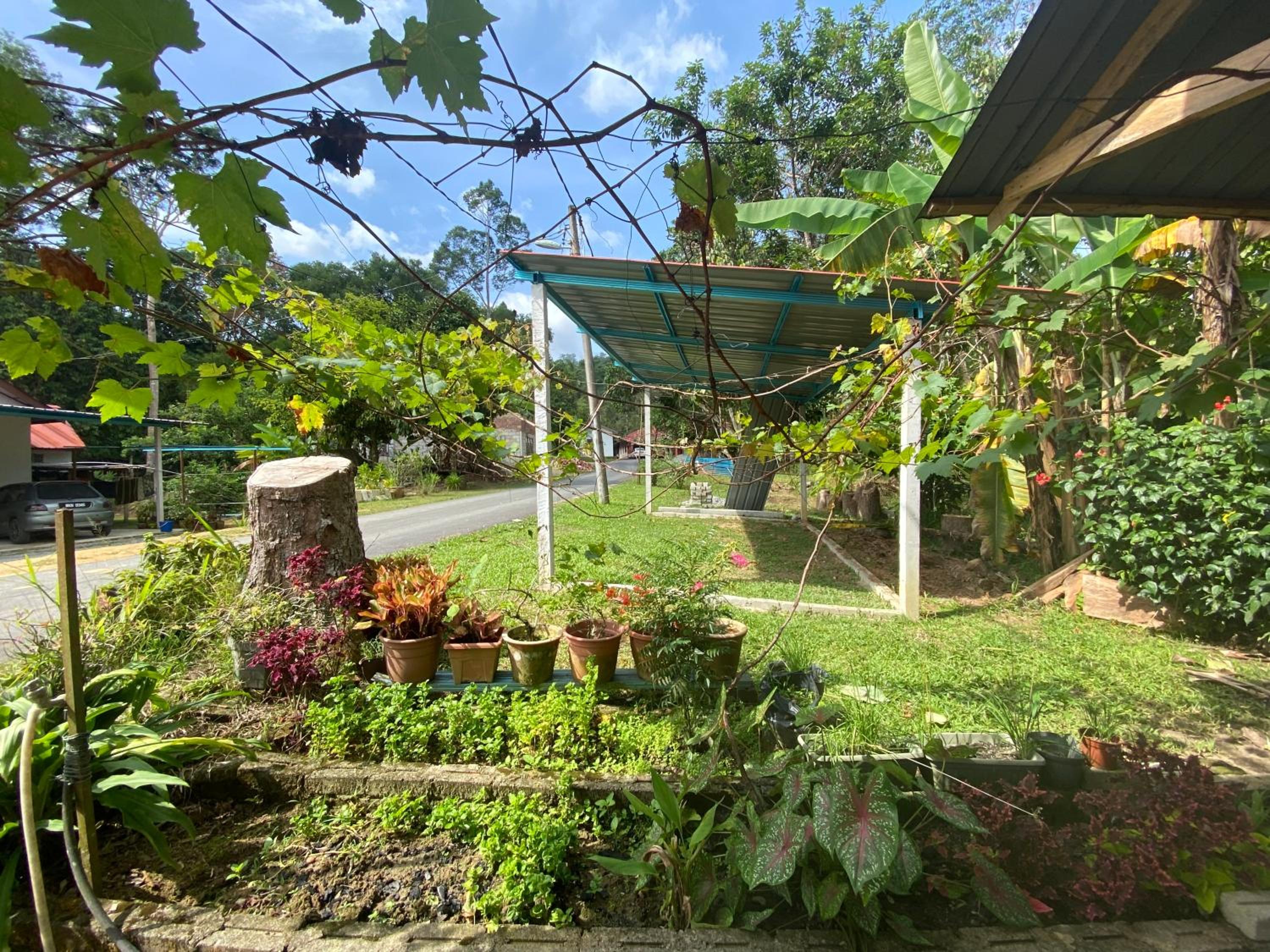 Three-Bedroom House photo 2