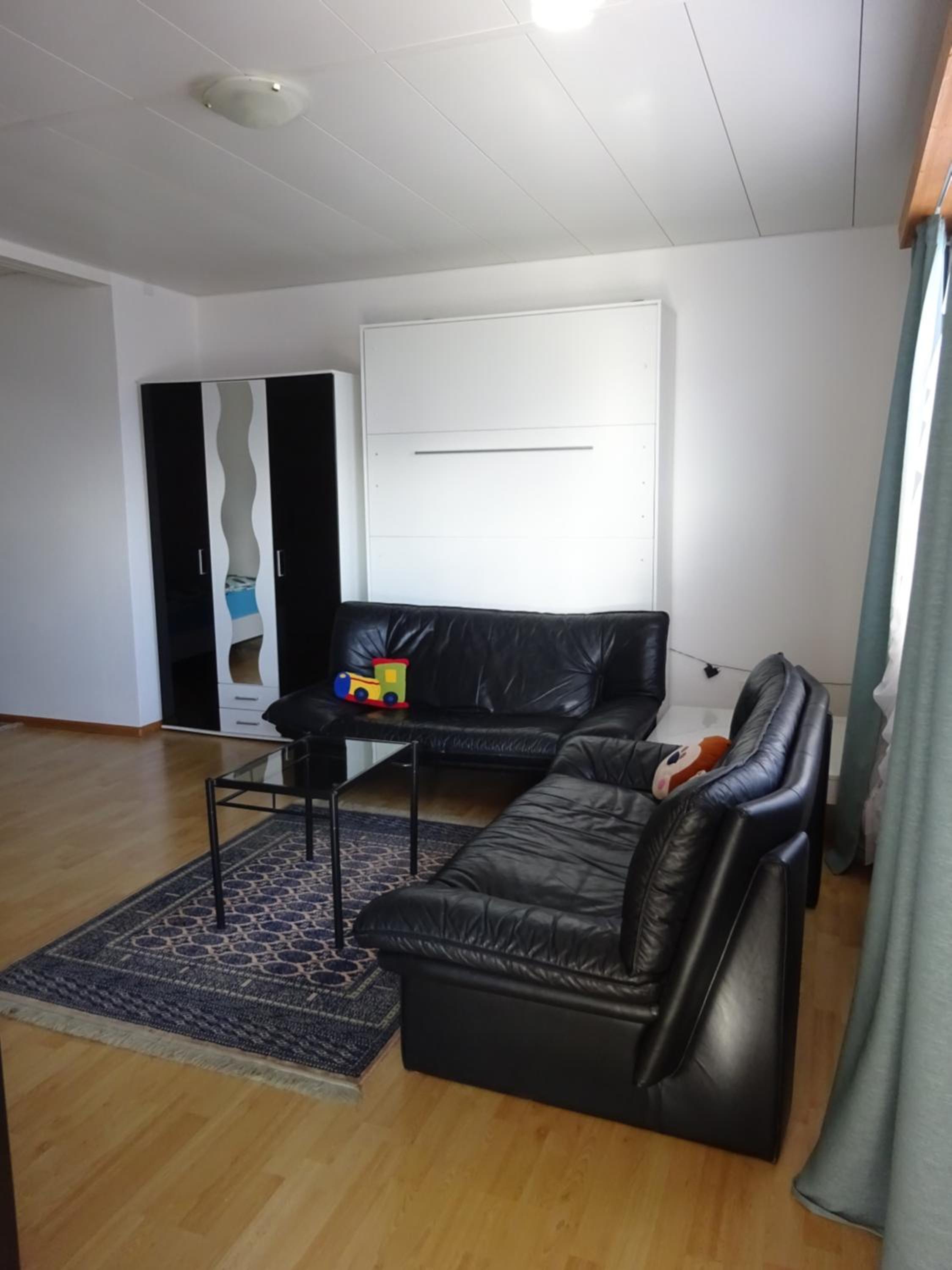 Apartment with Lake View - Photo 3