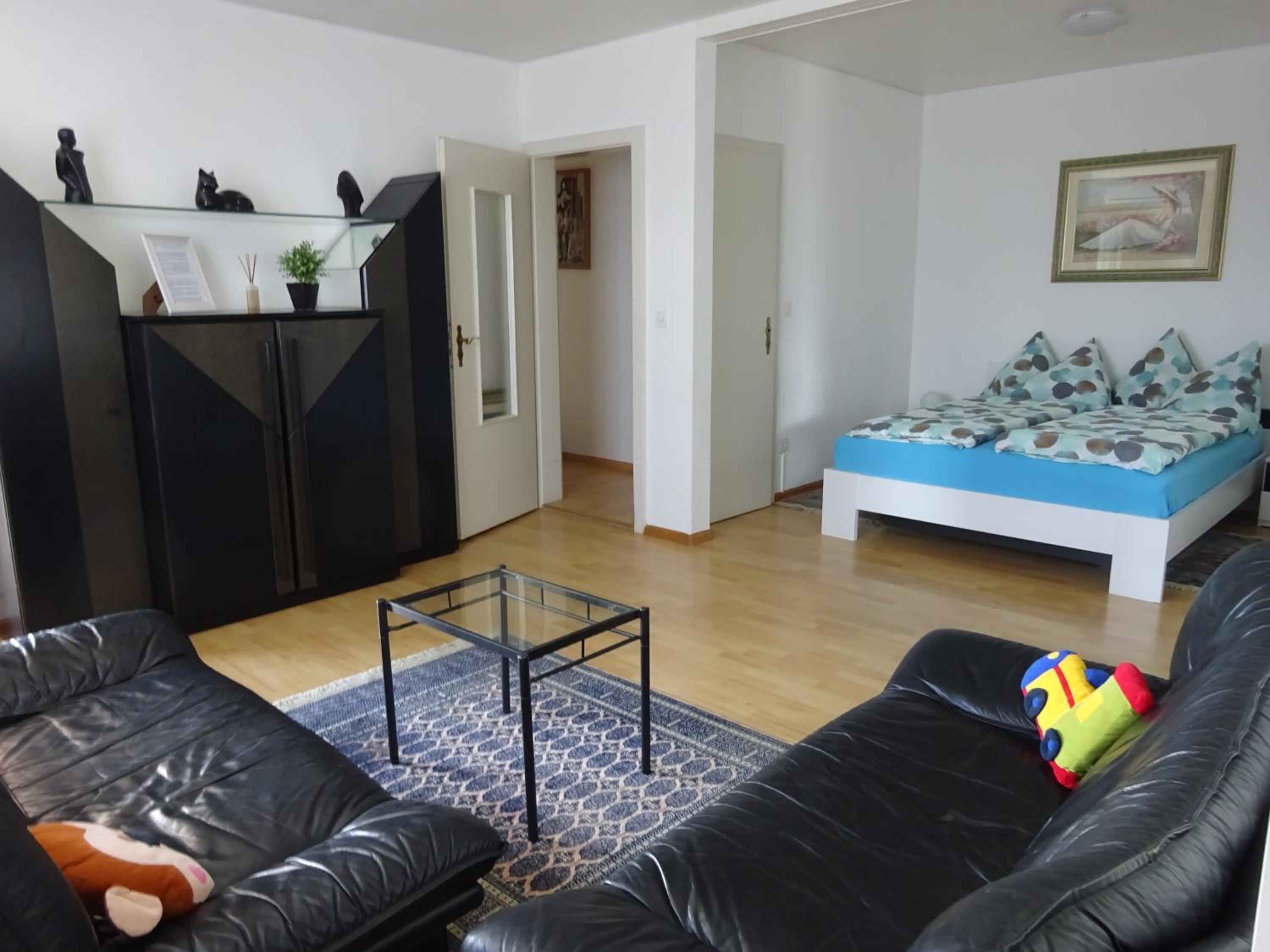 Apartment with Lake View - Photo 37