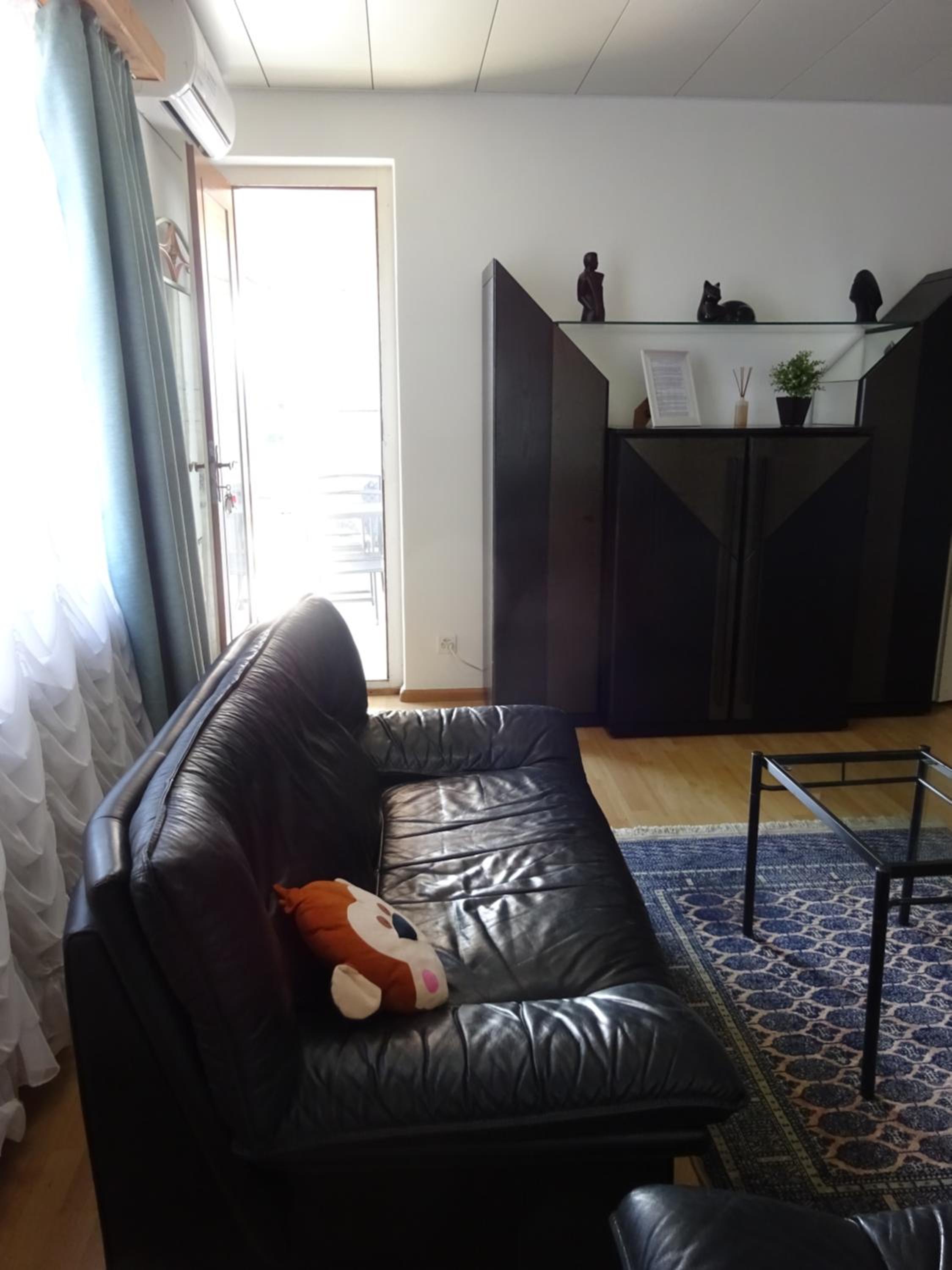 Apartment with Lake View - Photo 36