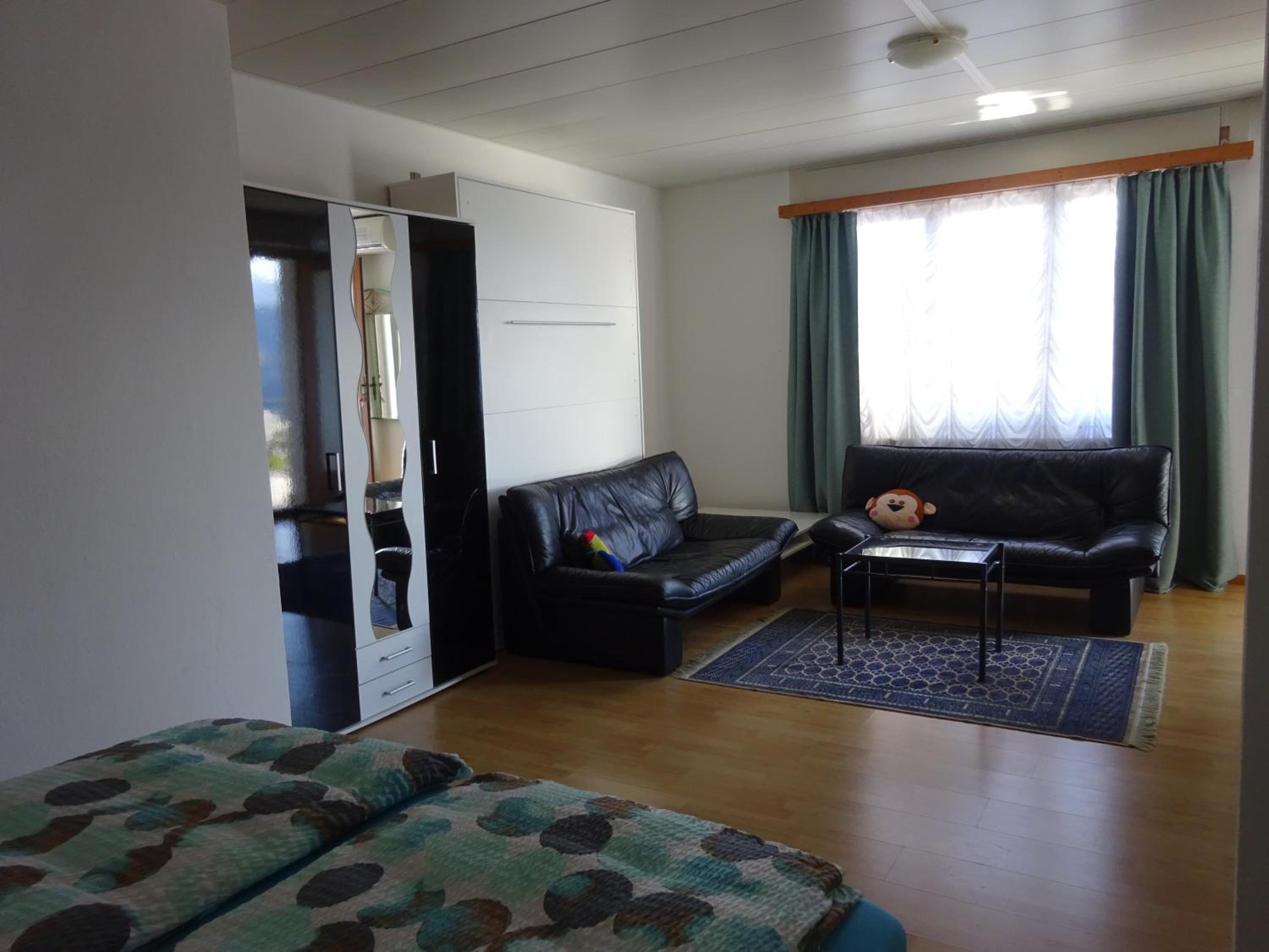 Apartment with Lake View - Photo 35