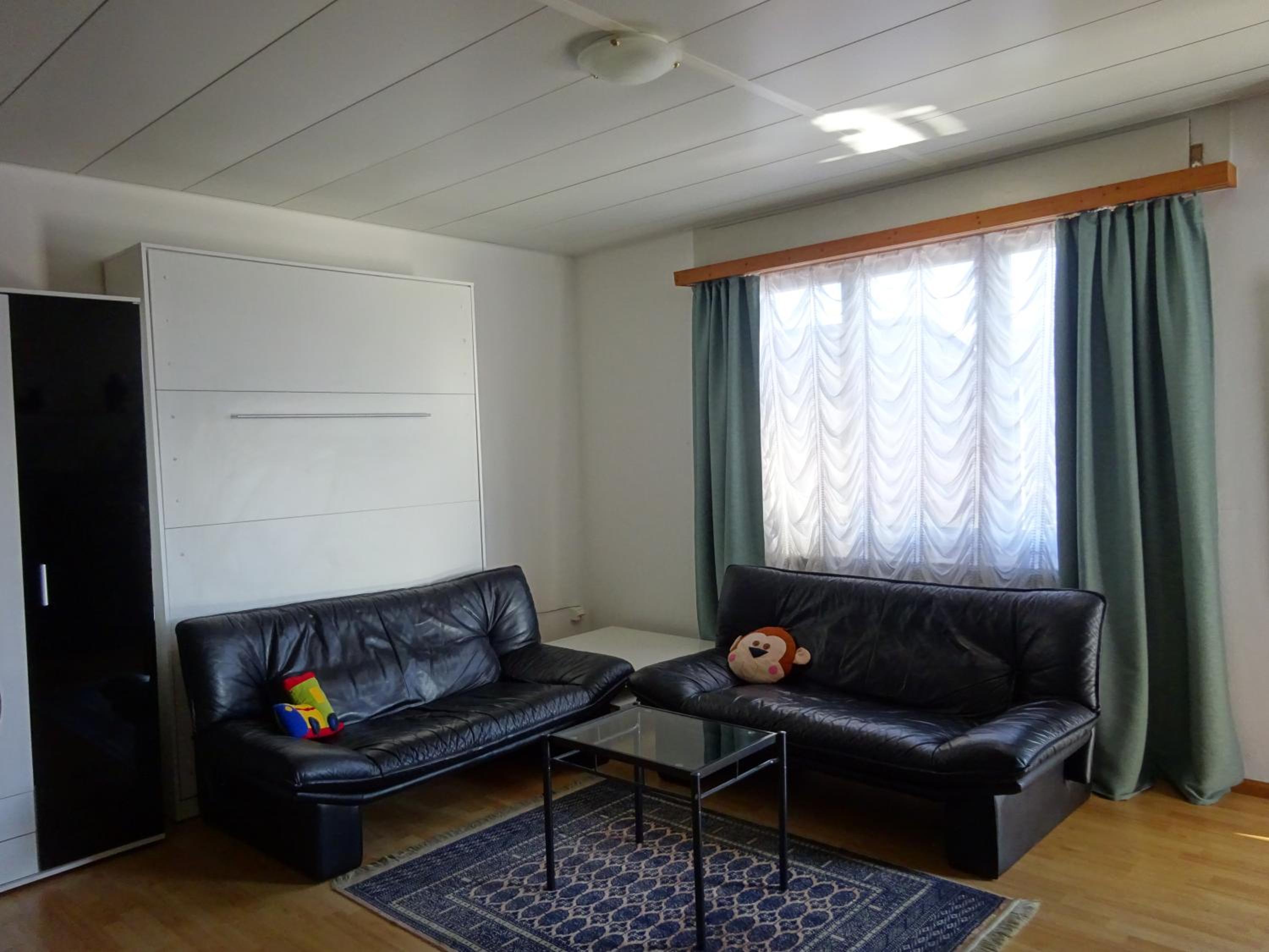 Apartment with Lake View - Photo 31