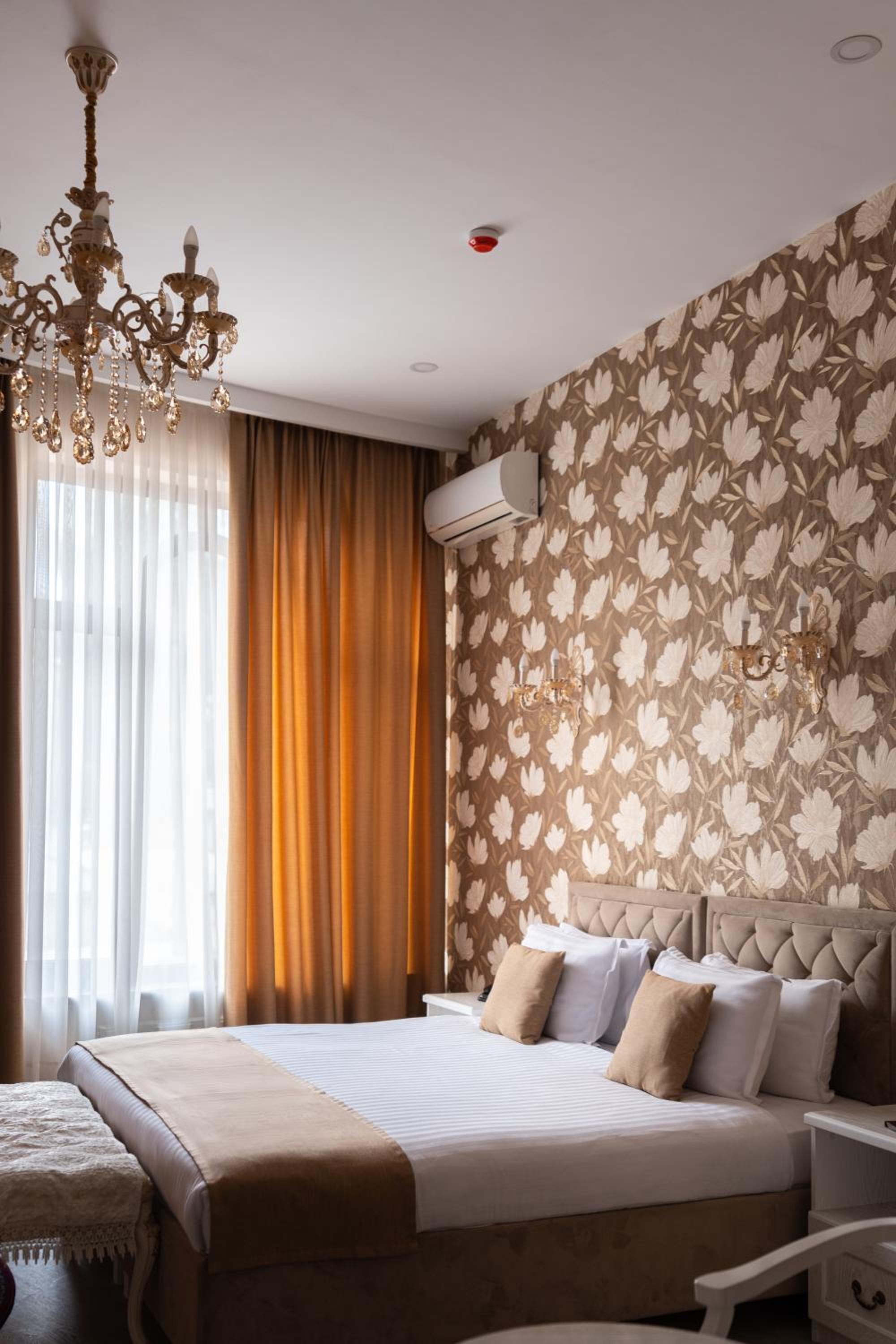 Suite - Photo 5